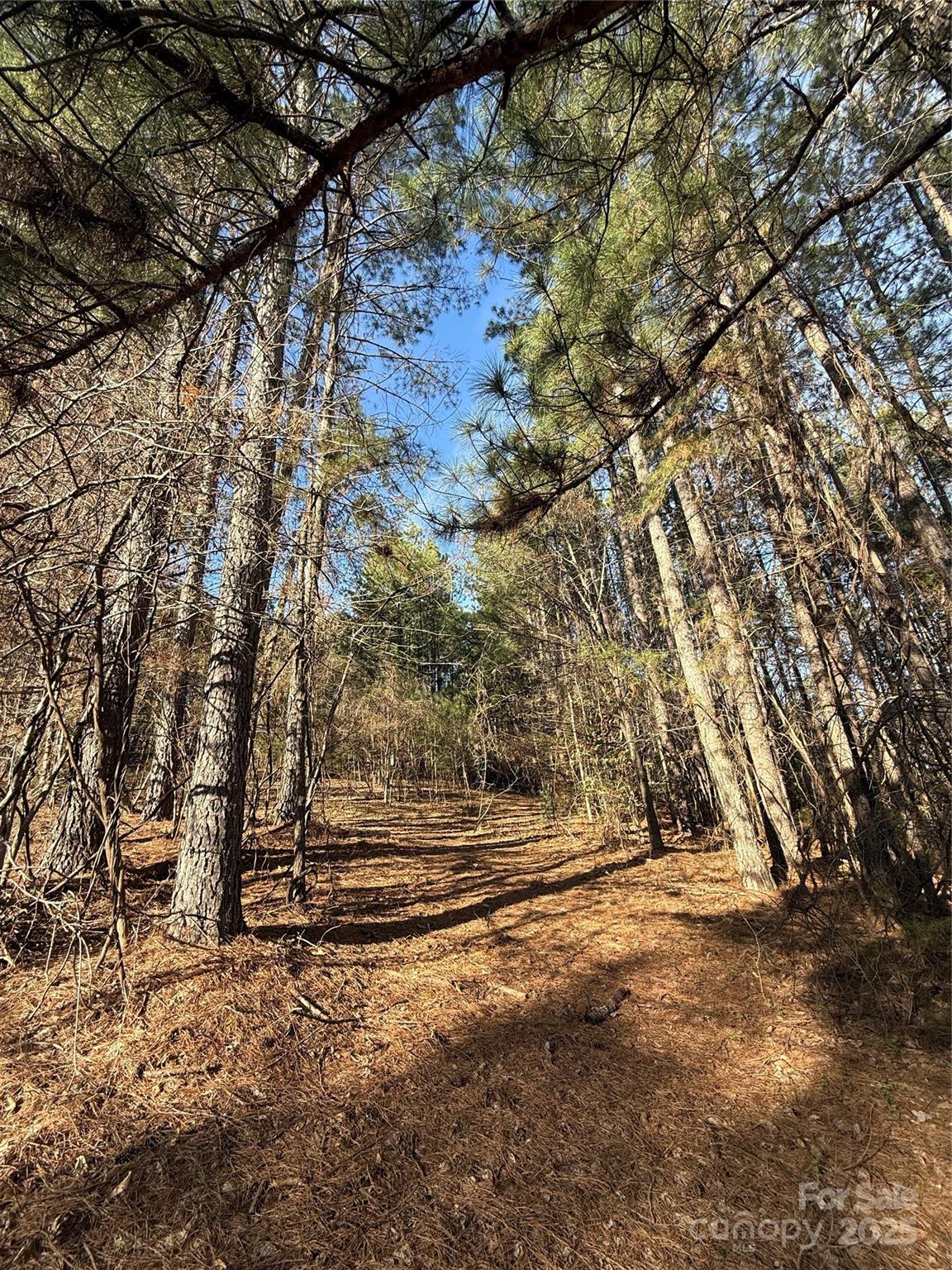 5126 Hurricane Hill Road Unit: 25