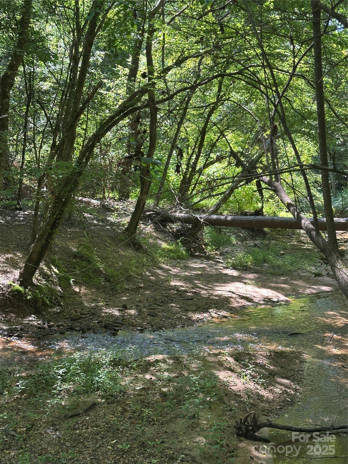 6020 Plantation Pointe Drive Unit: 91