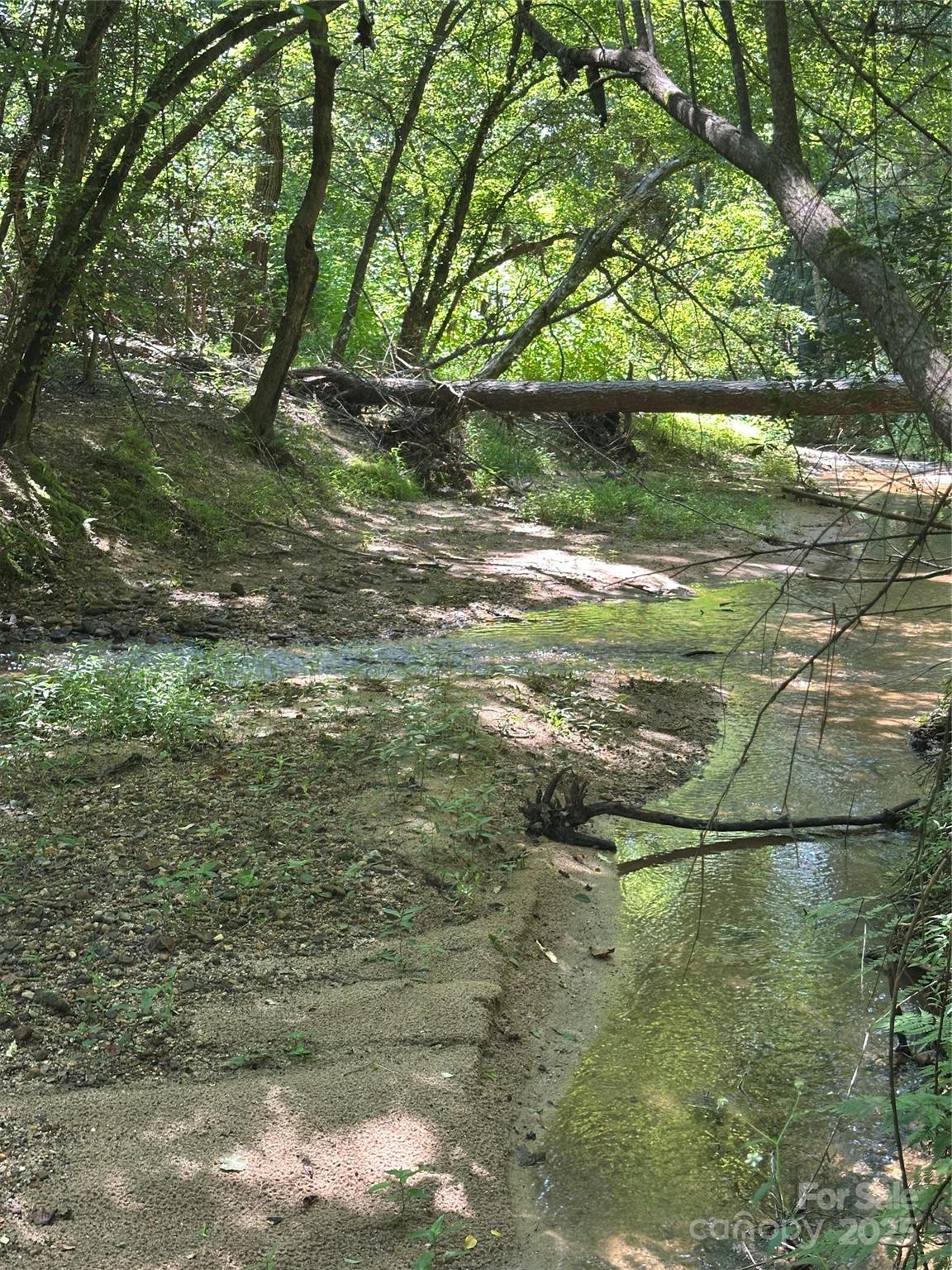 6020 Plantation Pointe Drive Unit: 91