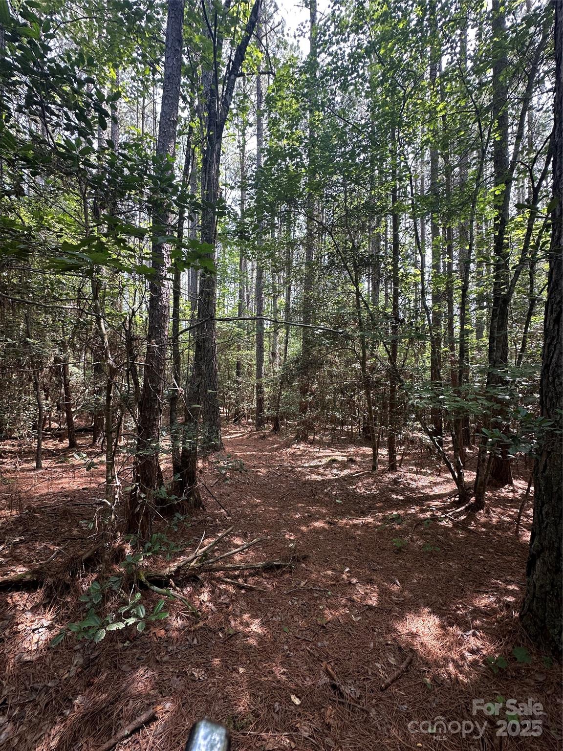 6020 Plantation Pointe Drive Unit: 91