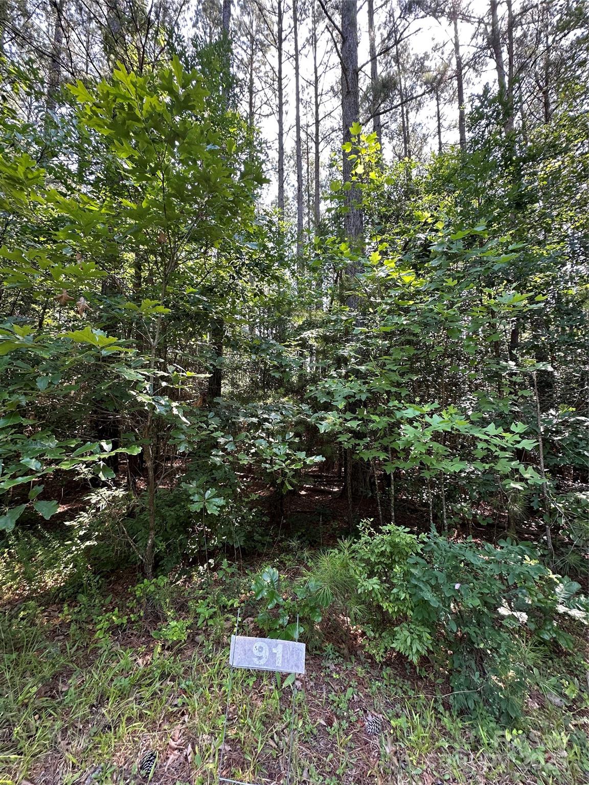 6020 Plantation Pointe Drive Unit: 91