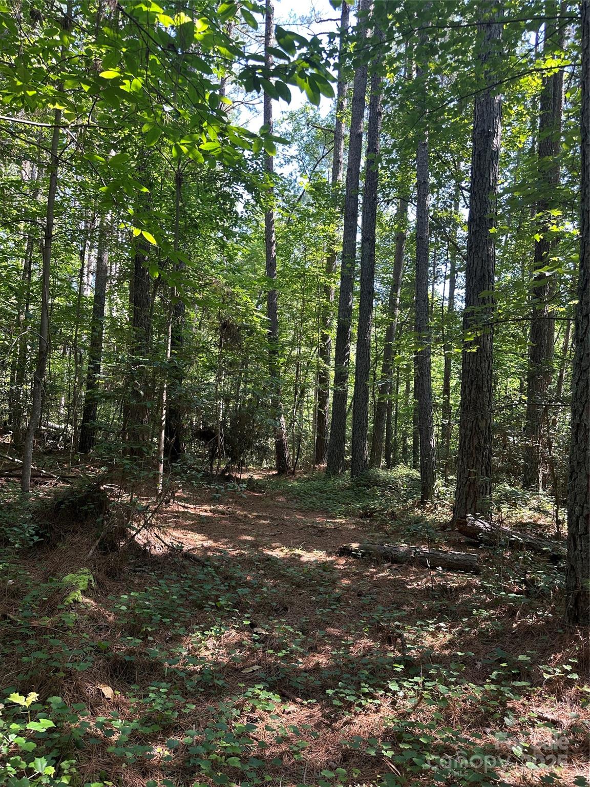 6020 Plantation Pointe Drive Unit: 91