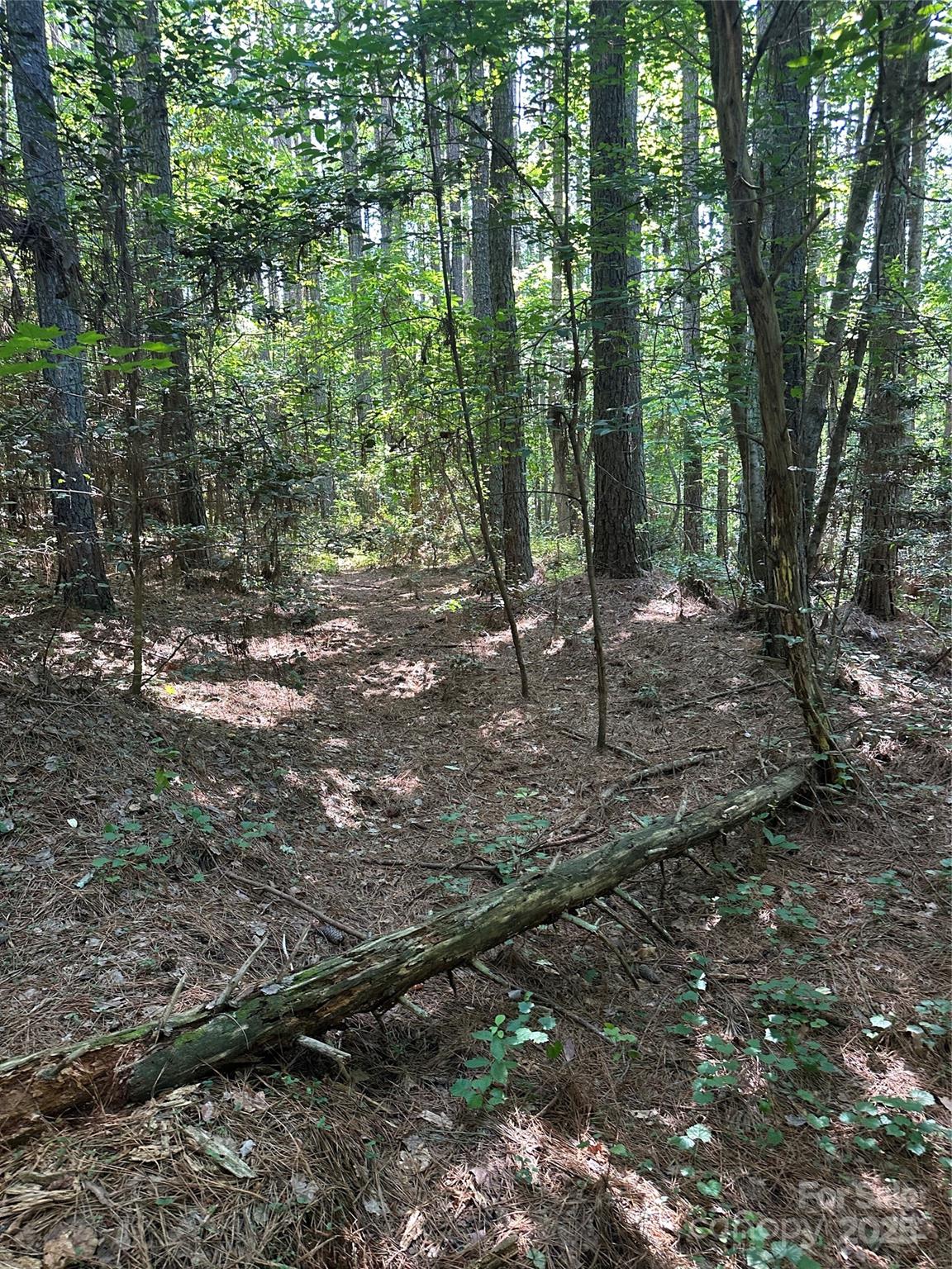 6020 Plantation Pointe Drive Unit: 91