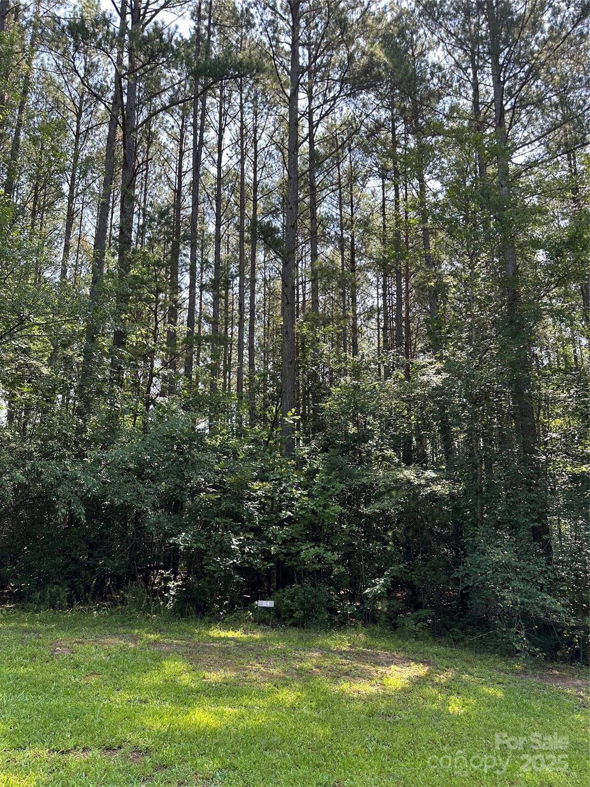 6020 Plantation Pointe Drive Unit: 91