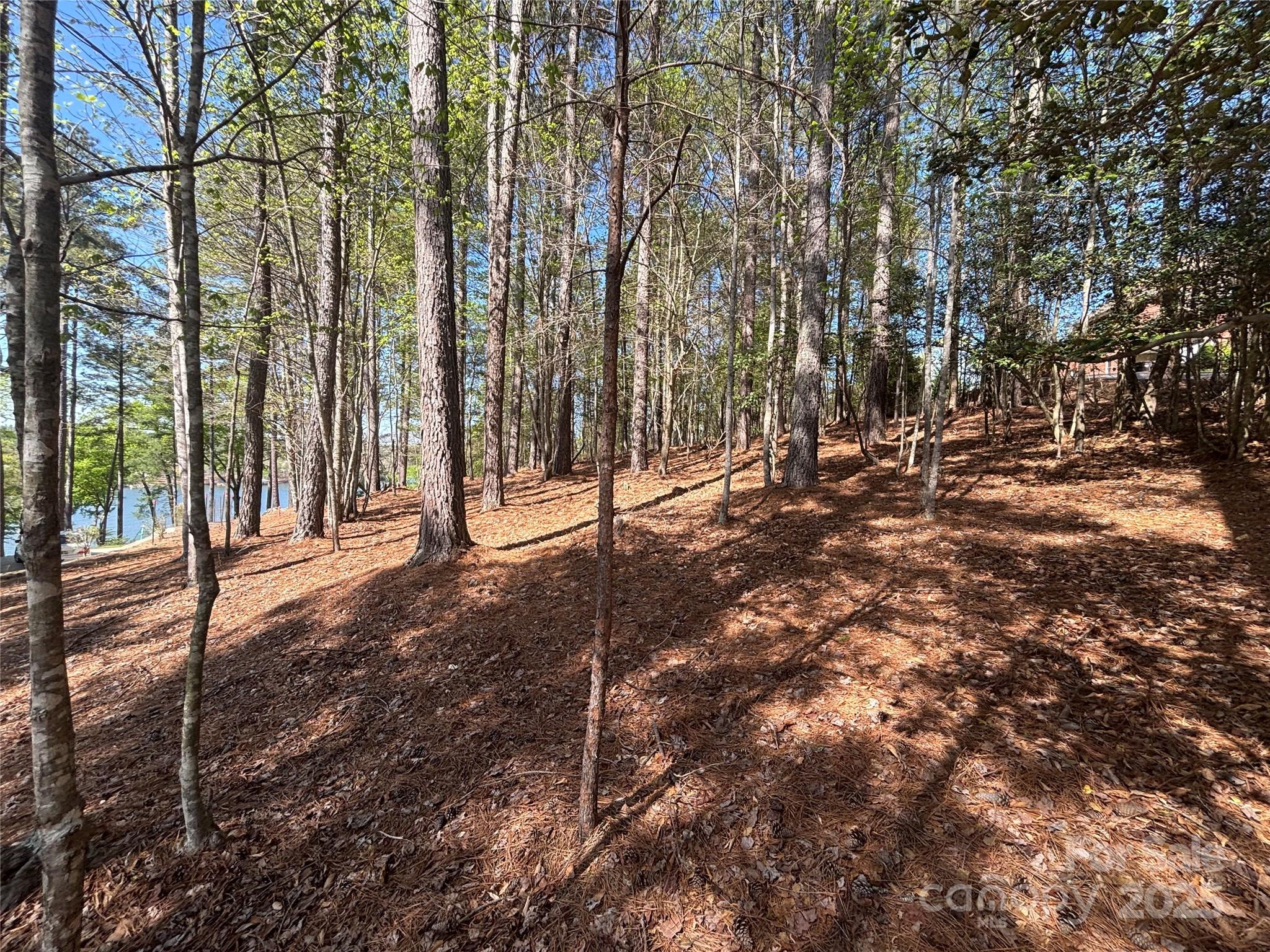 1036 Tranquil Cove Court Unit: 26