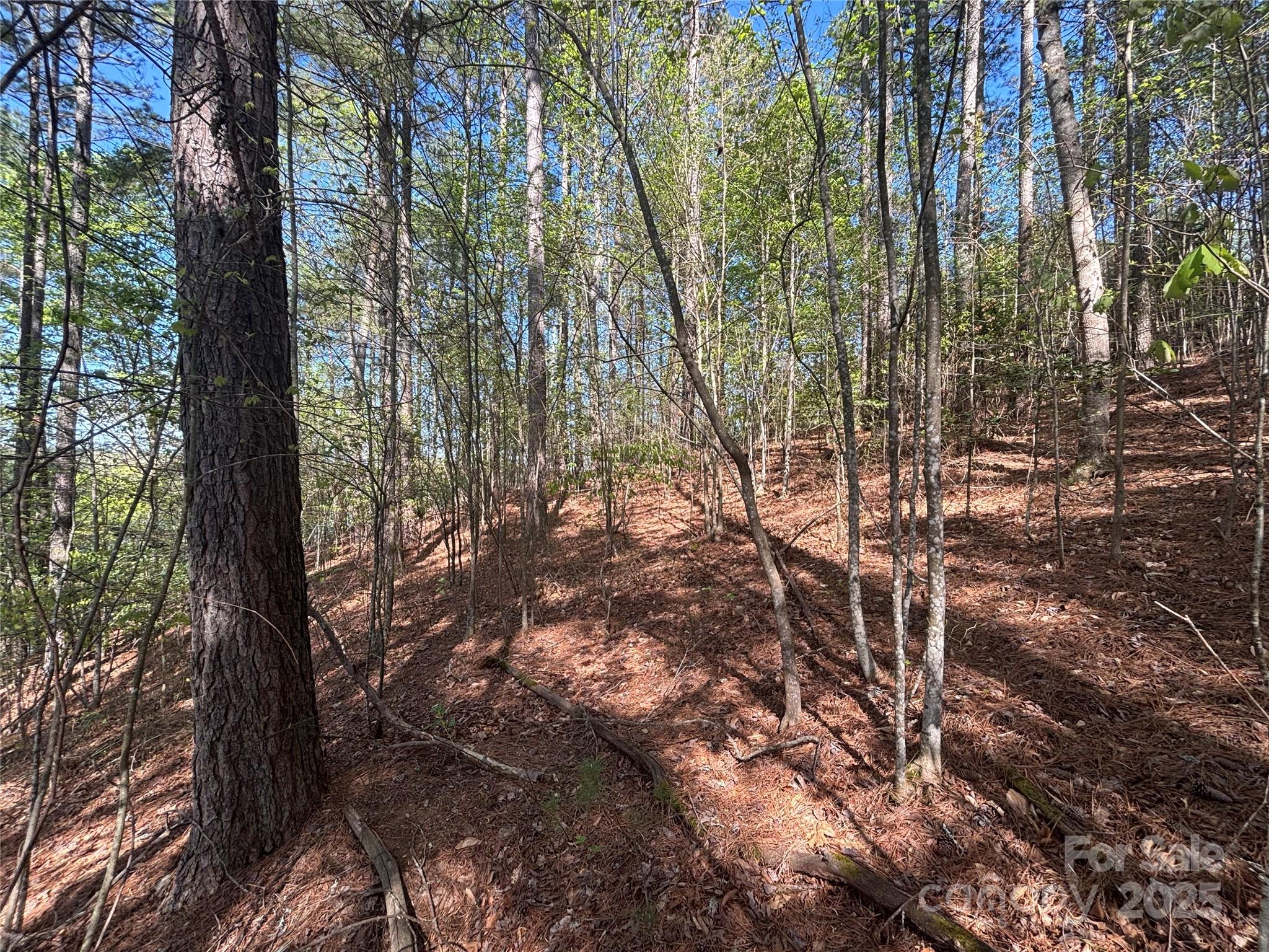 1036 Tranquil Cove Court Unit: 26