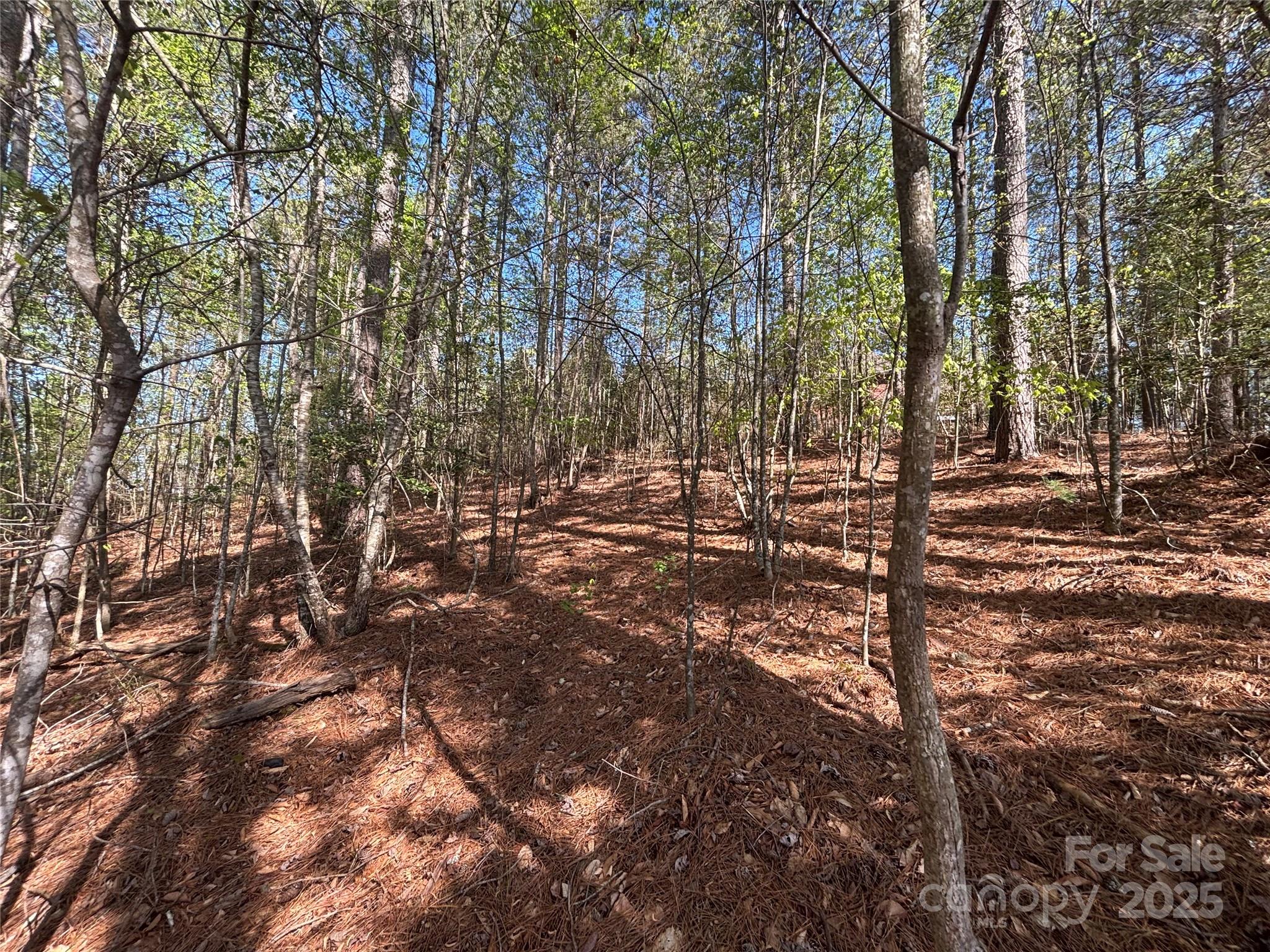 1036 Tranquil Cove Court Unit: 26