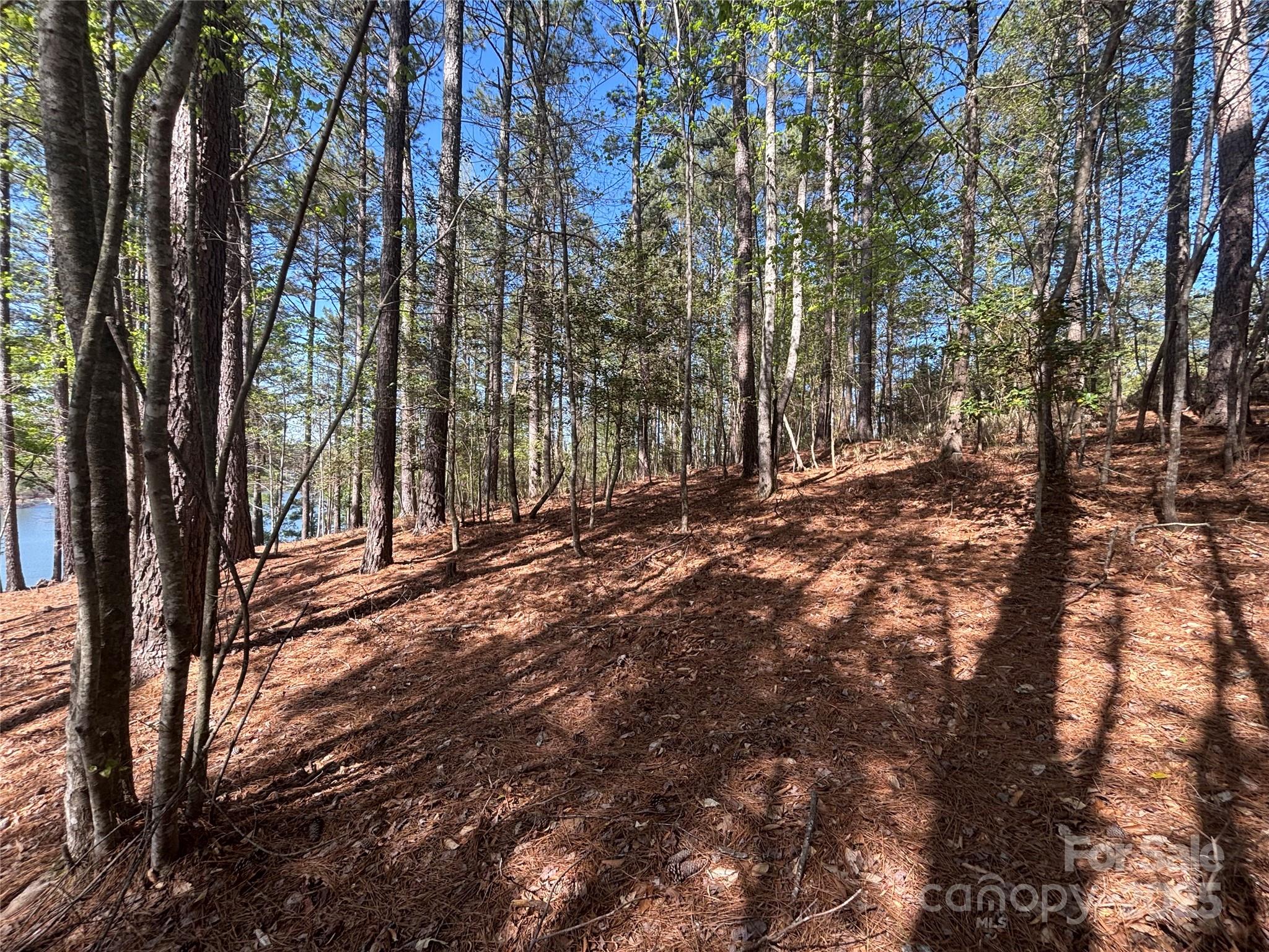 1036 Tranquil Cove Court Unit: 26