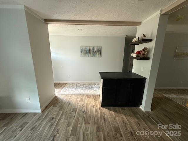 3093 Bear Trail Drive