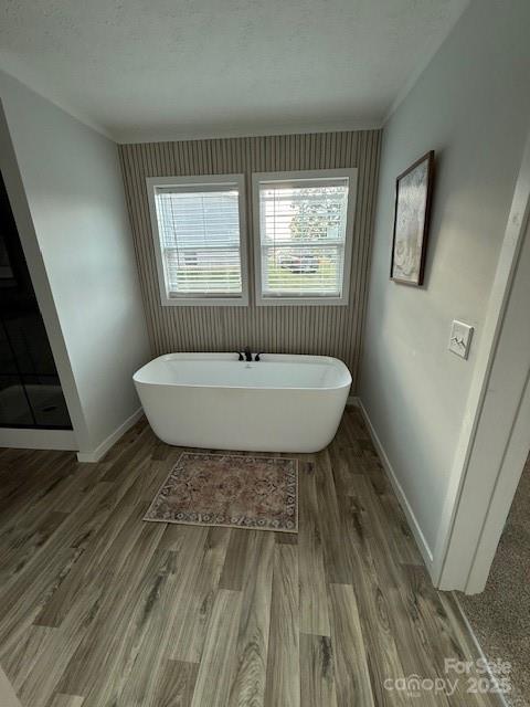 3093 Bear Trail Drive