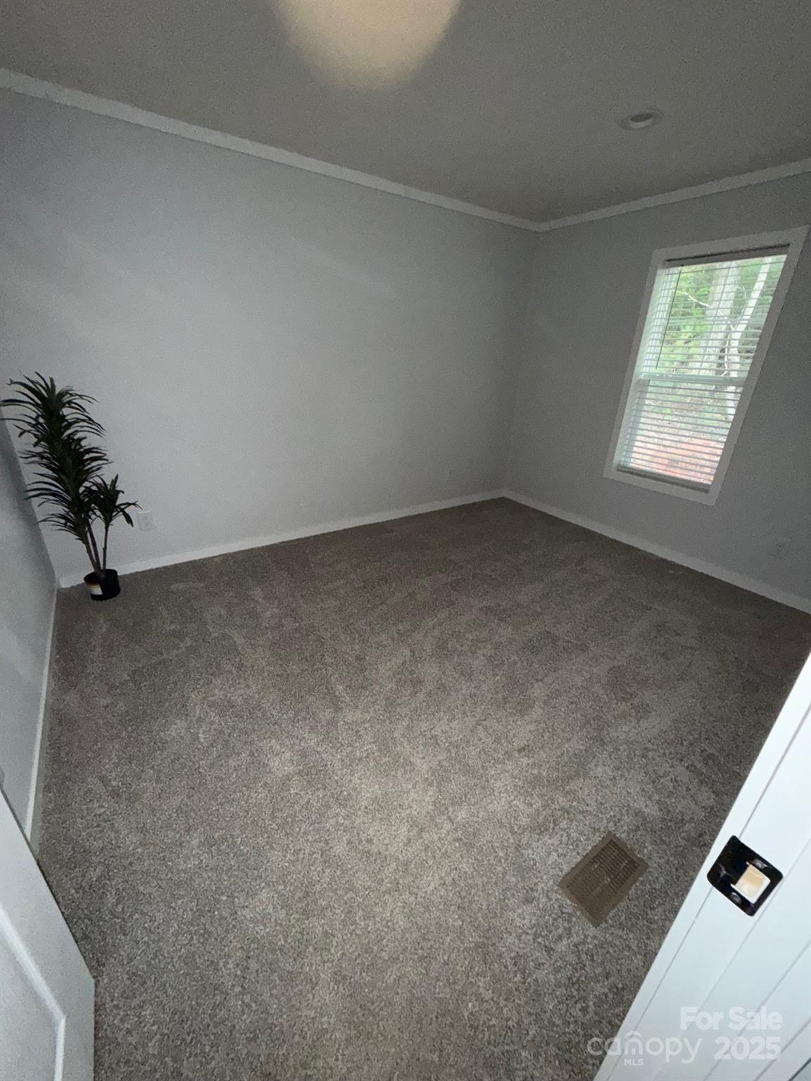 3093 Bear Trail Drive