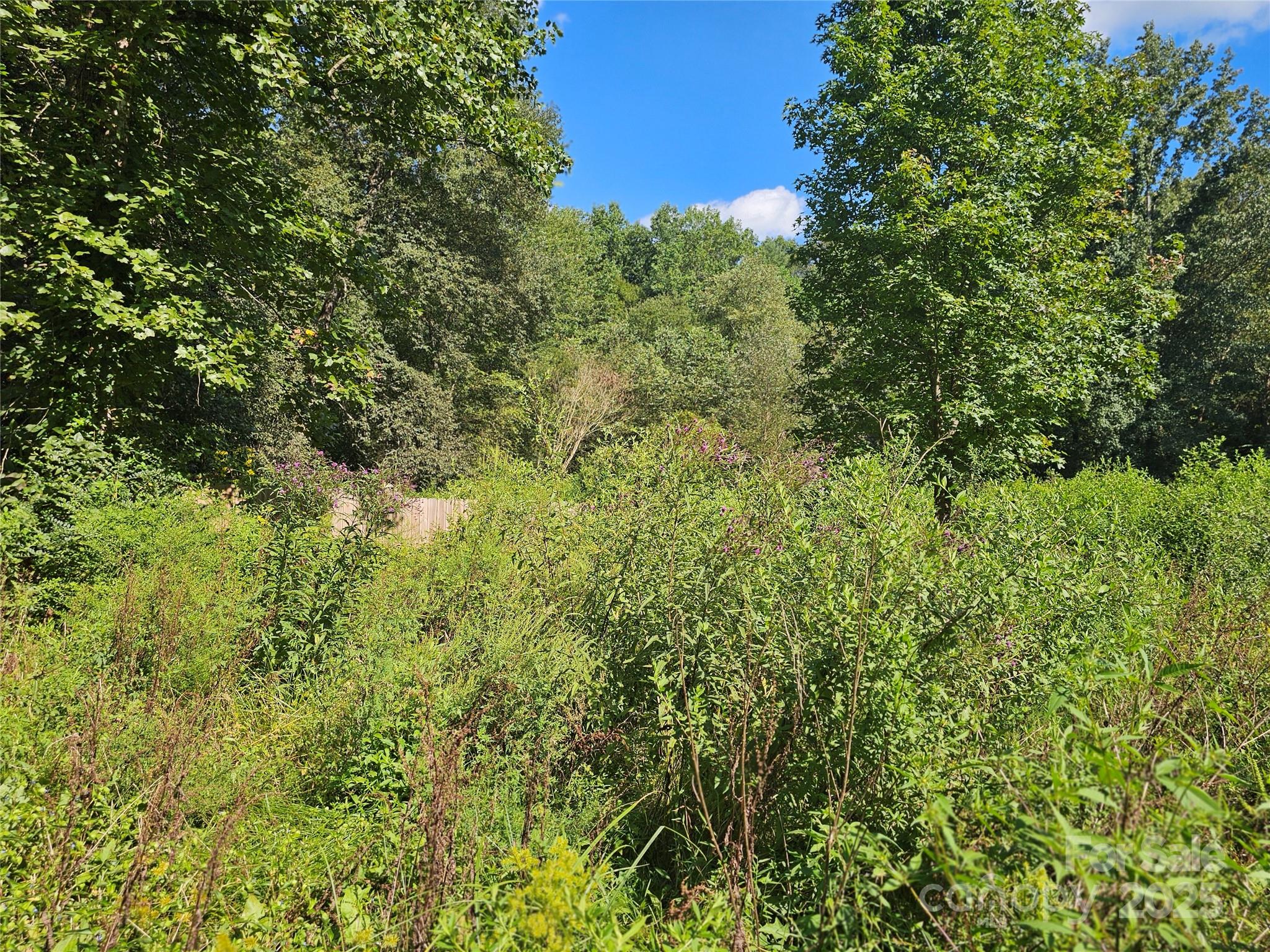 6518 Gold Creek Drive