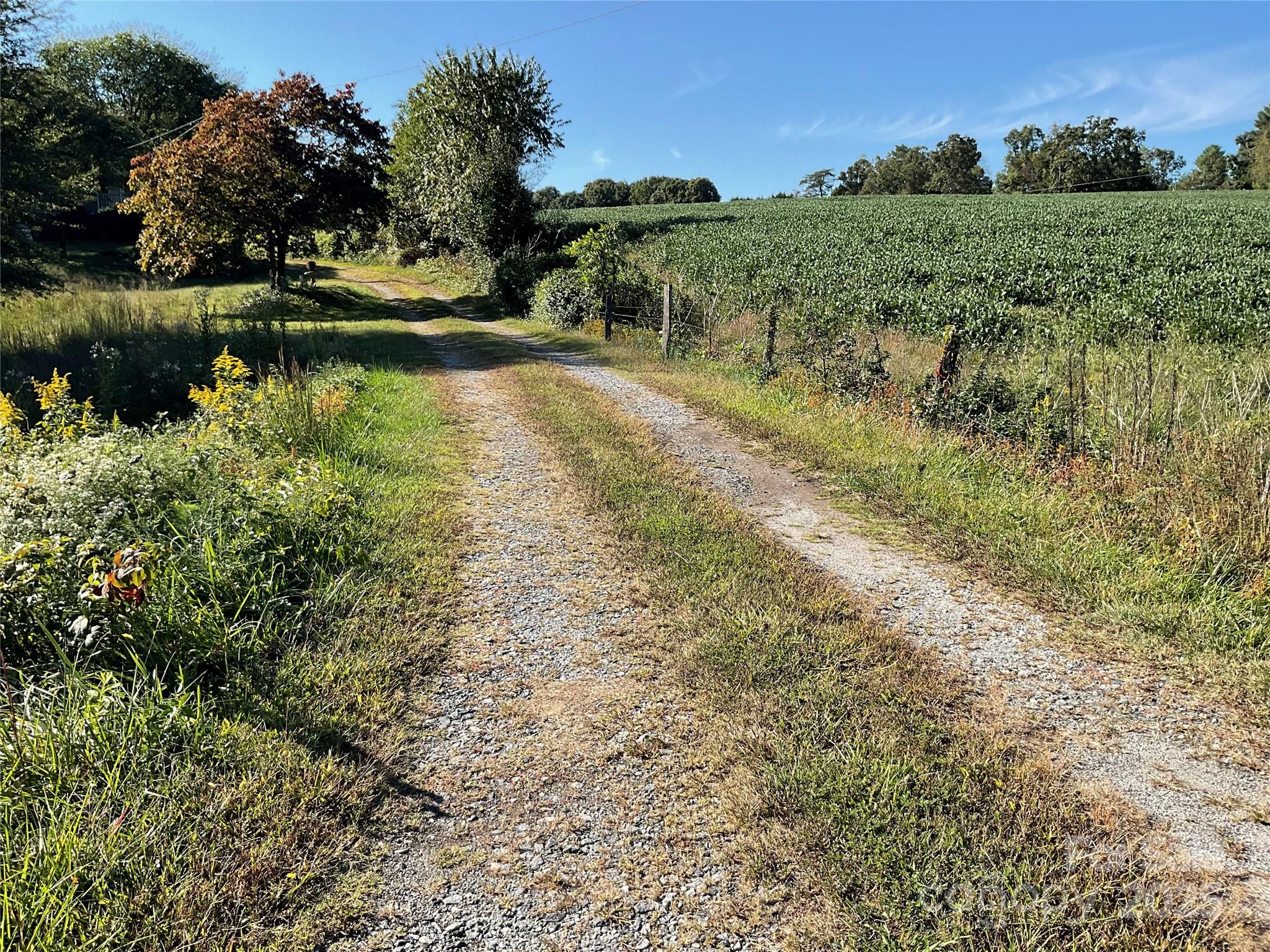 3453 Deal Mill Road