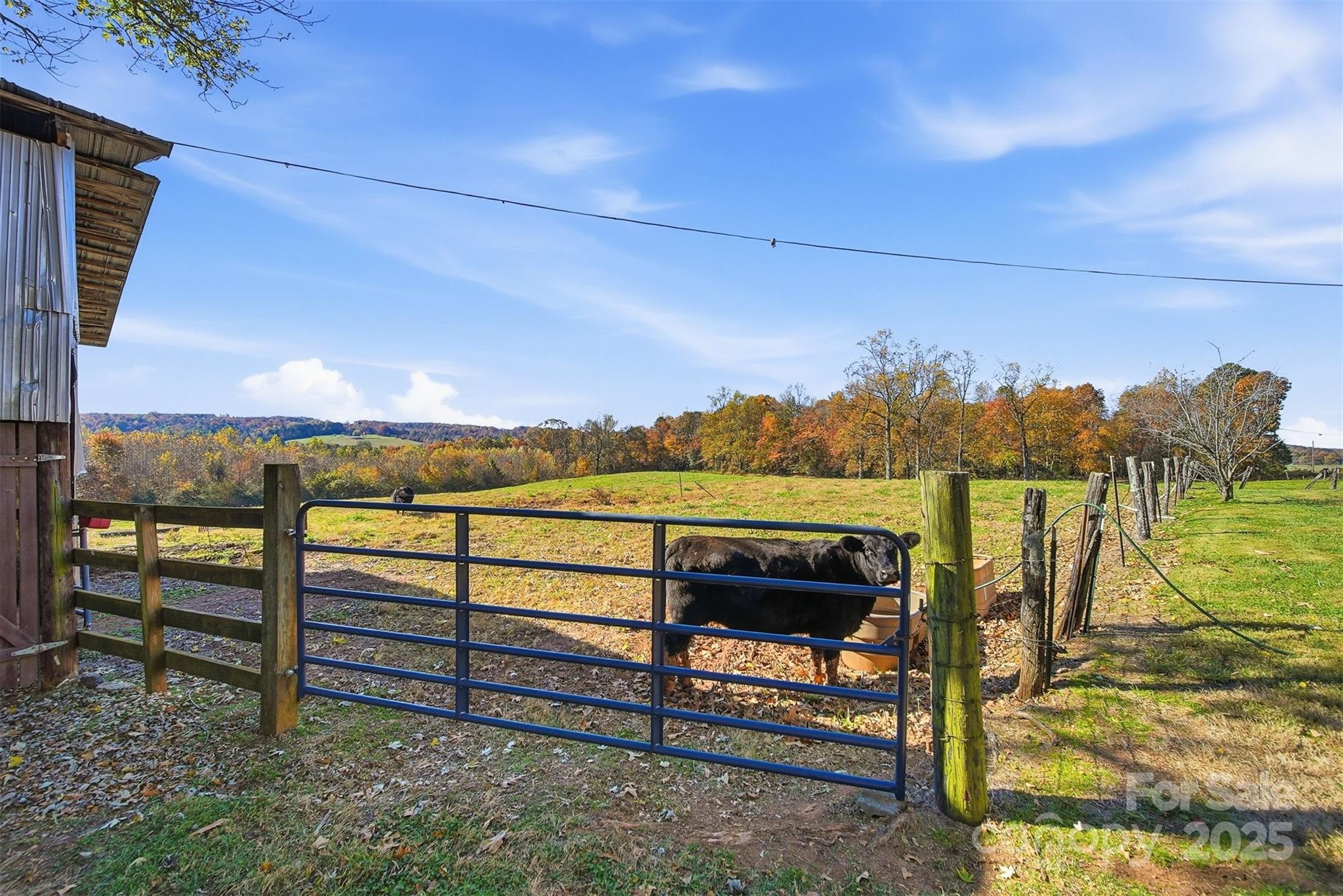 1127 Alspaugh Dam Road