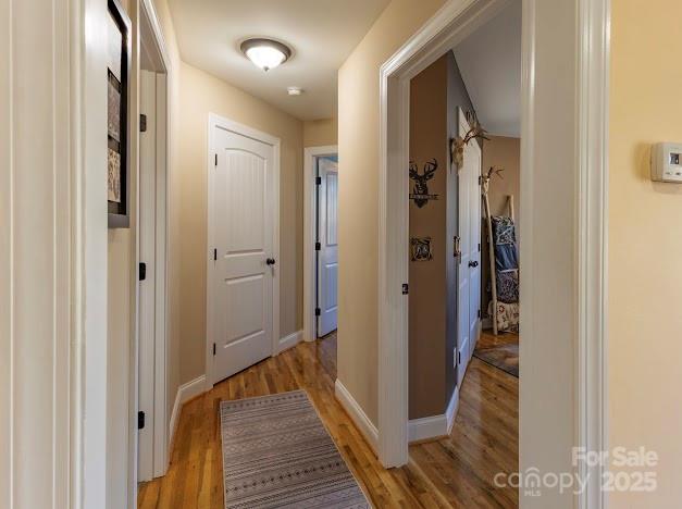117 Maplewood Court