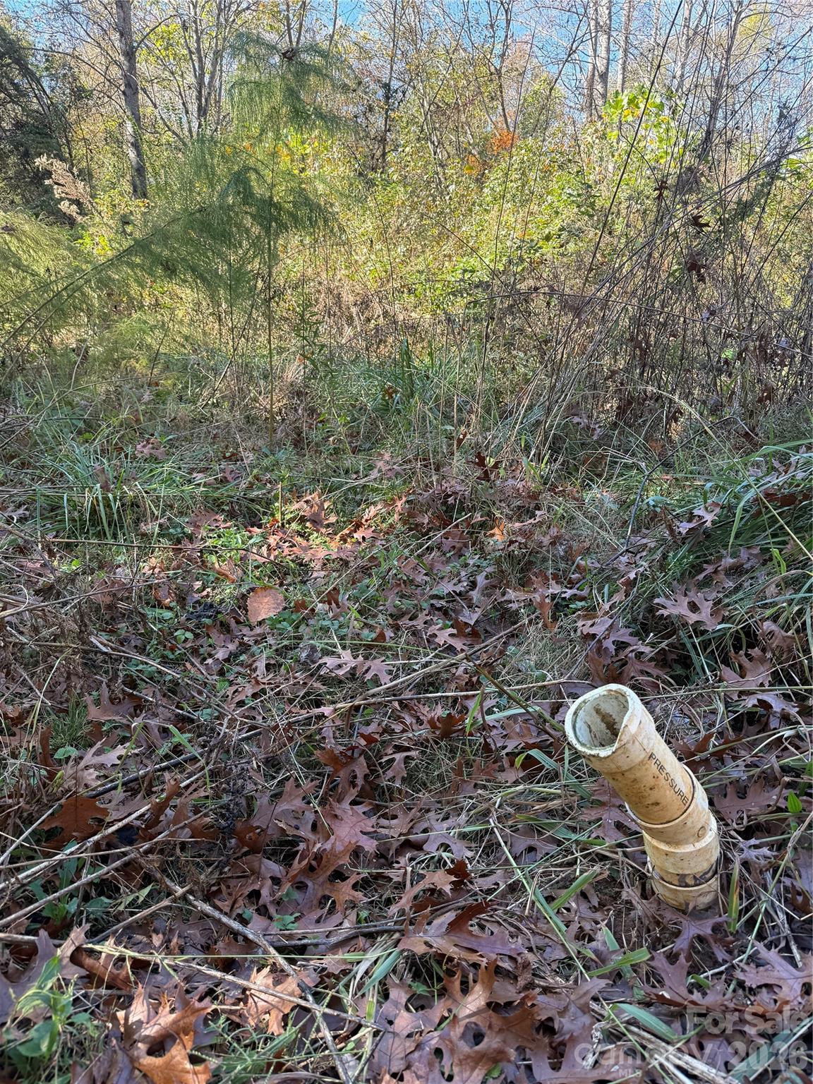 5586 Mountain Terrace Drive