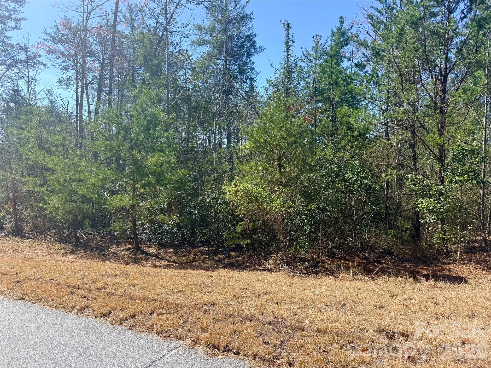 TBD John Wilson Lane