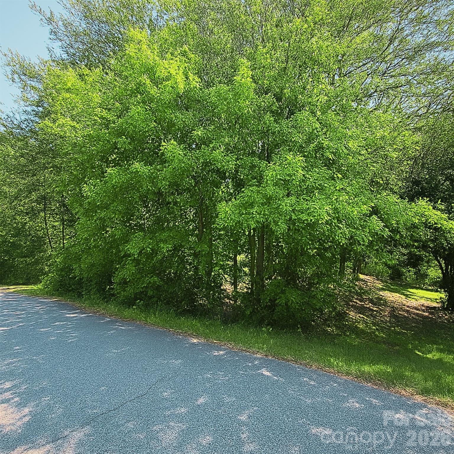 1243 Beechwood Drive