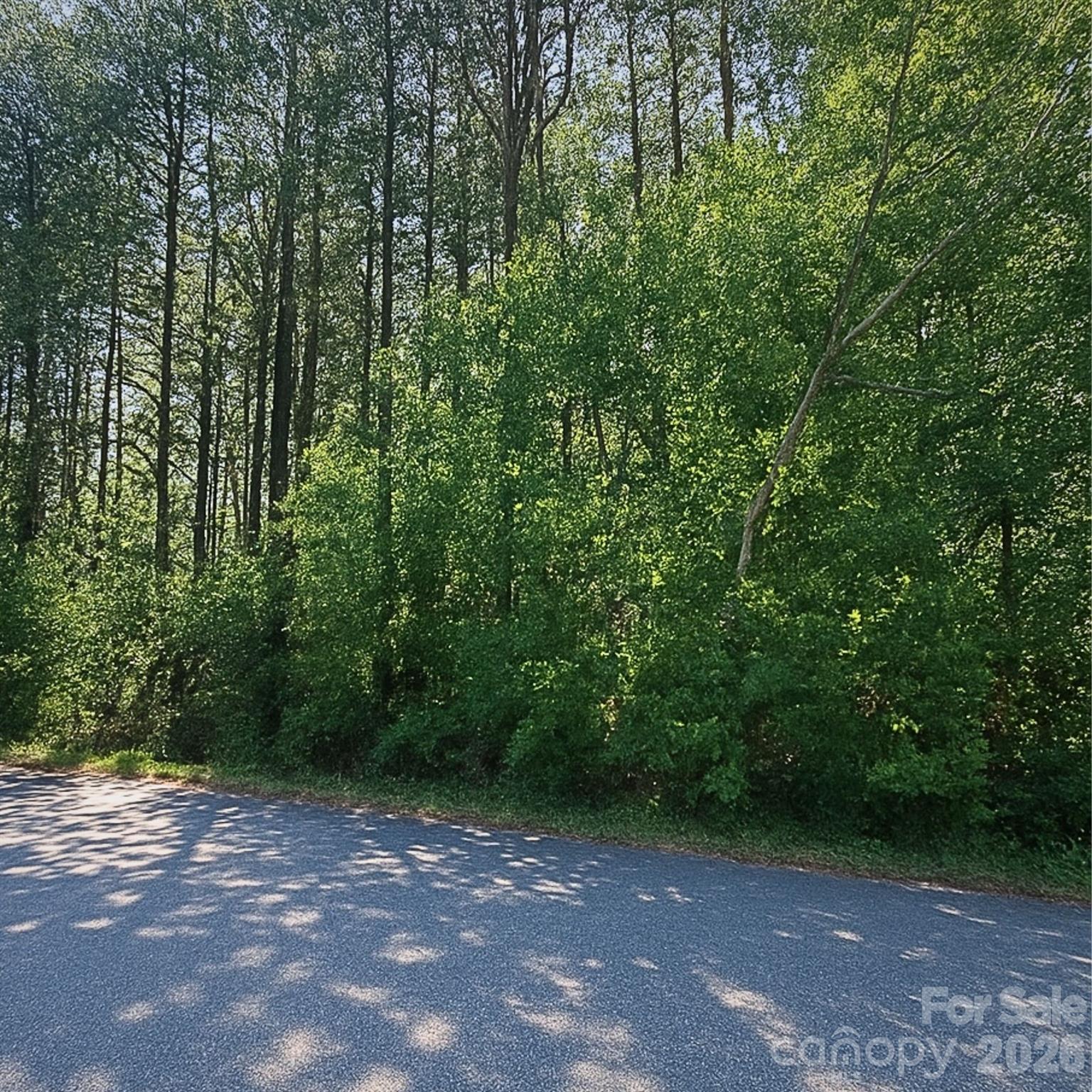 1243 Beechwood Drive