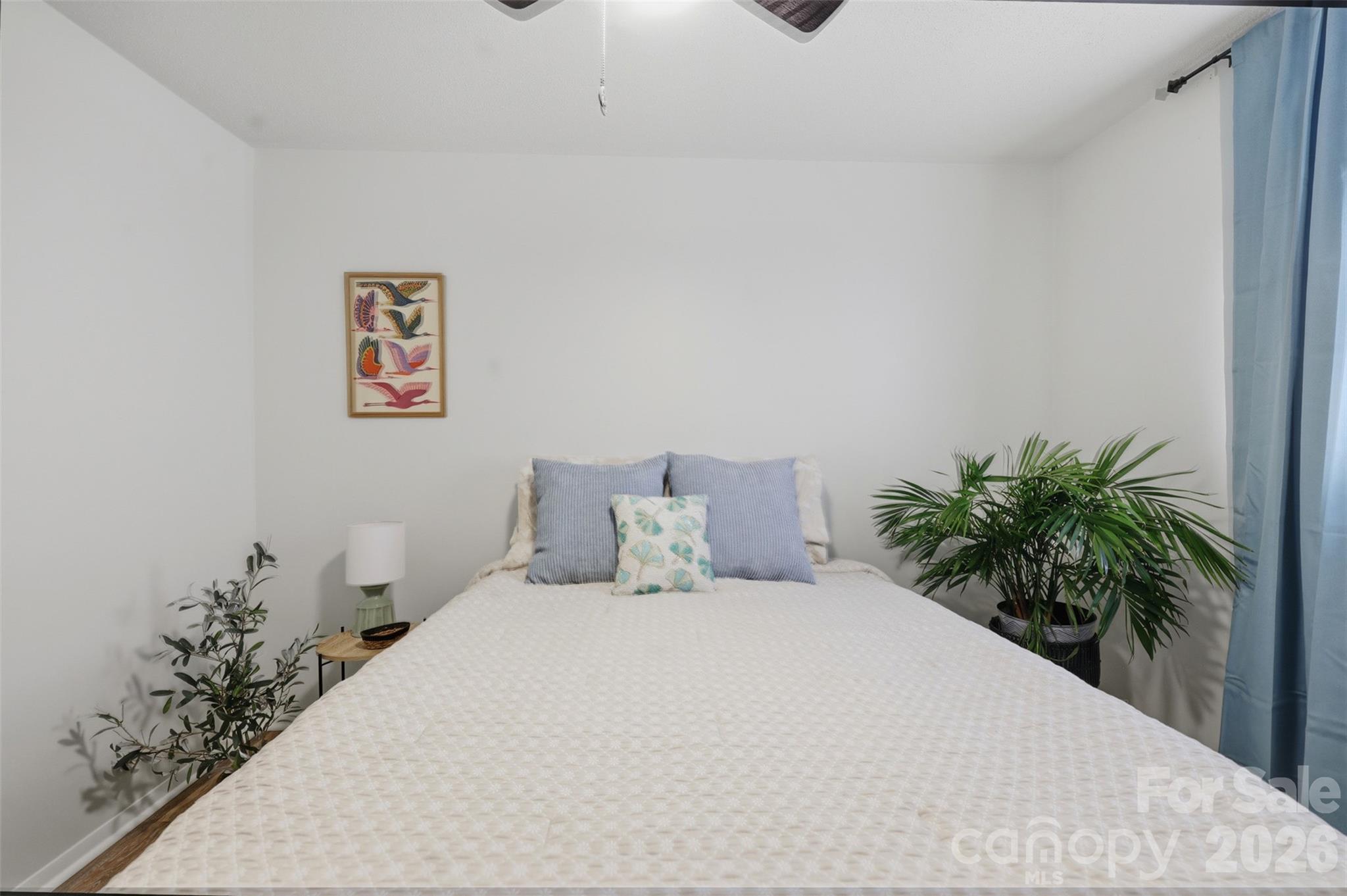 1237 Venus Street