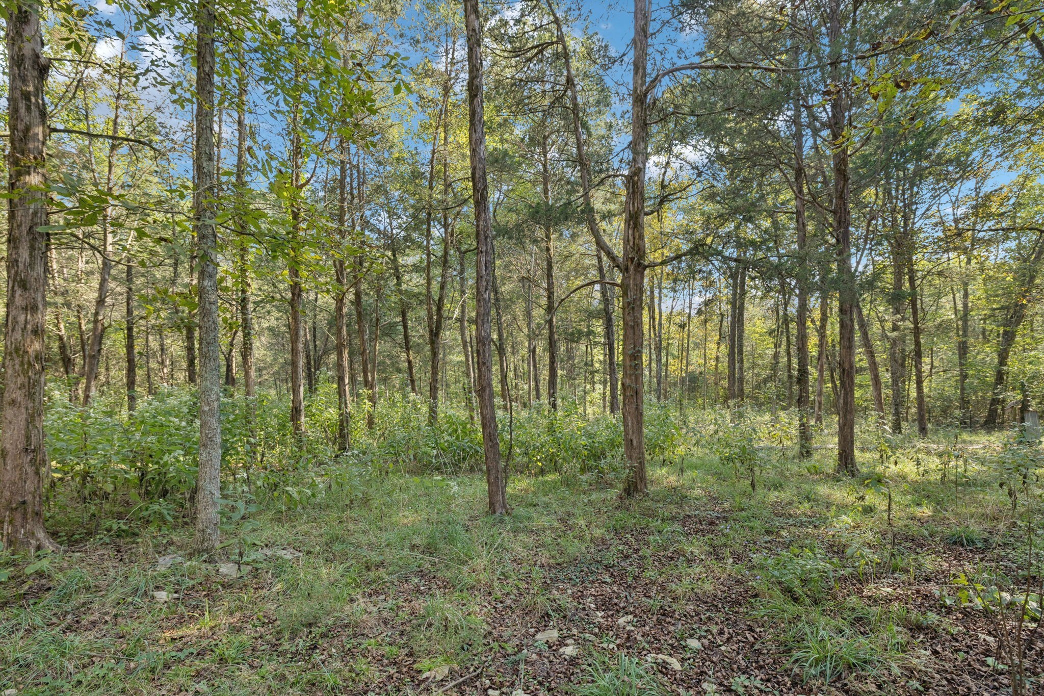4705 Wildberry Ln