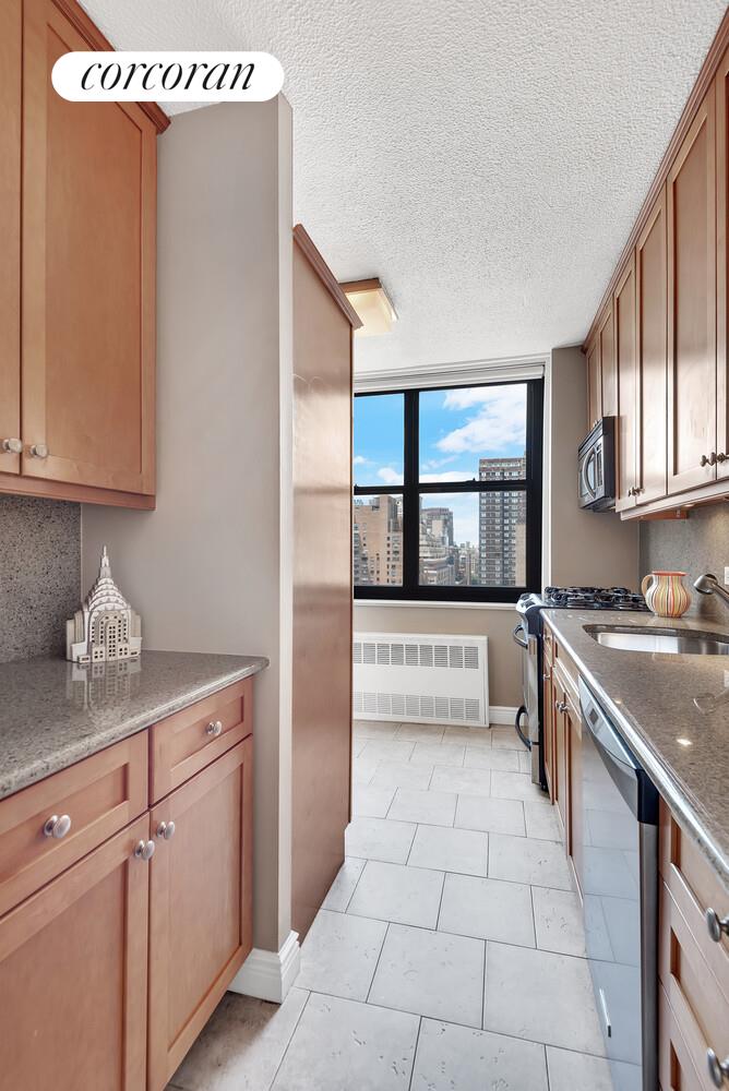 301 E 87TH Street 24D