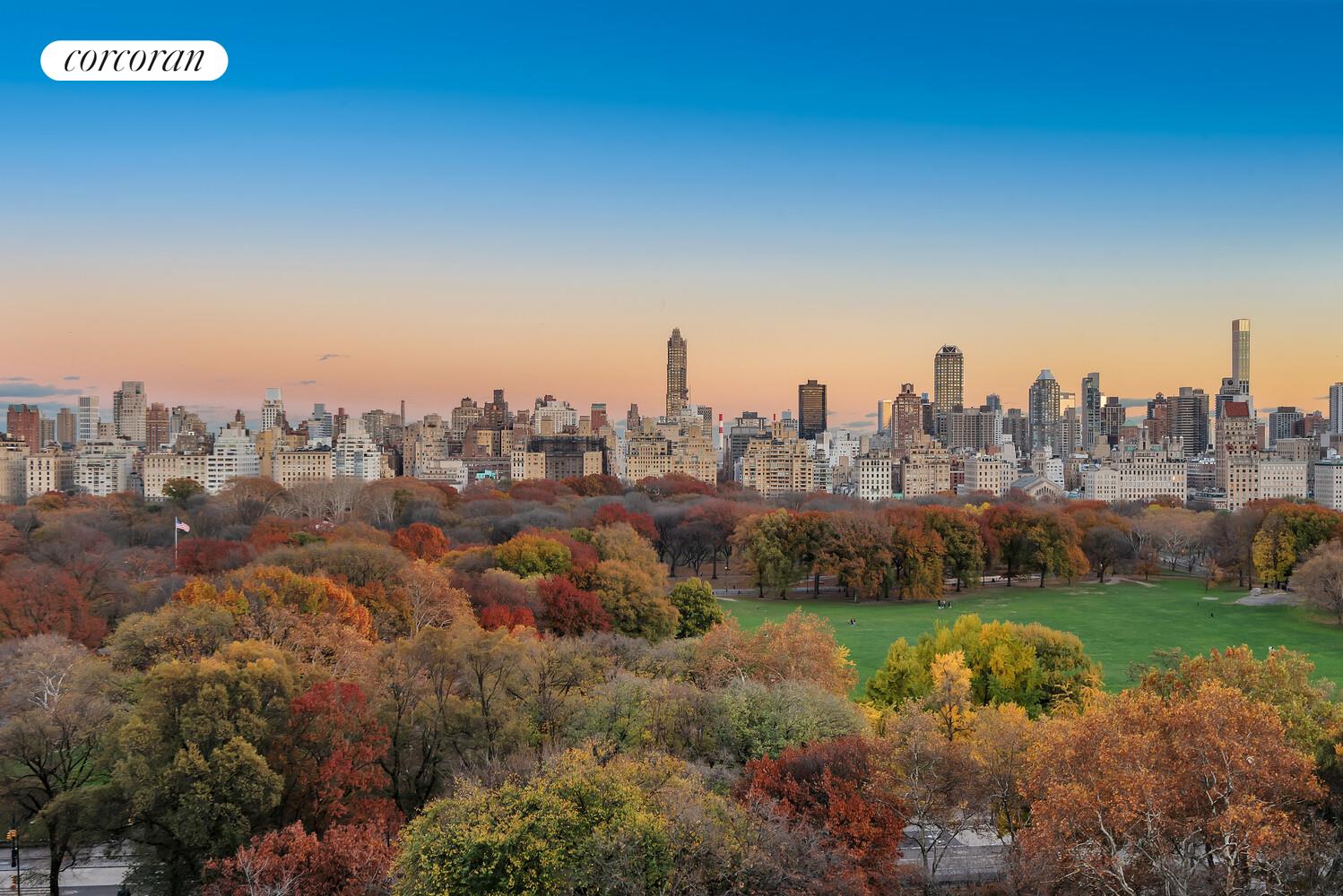 80 CENTRAL Park W 18B