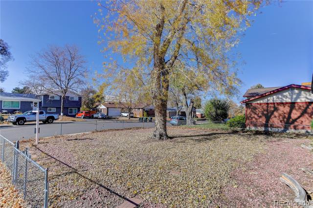 10424 Carmela Lane
