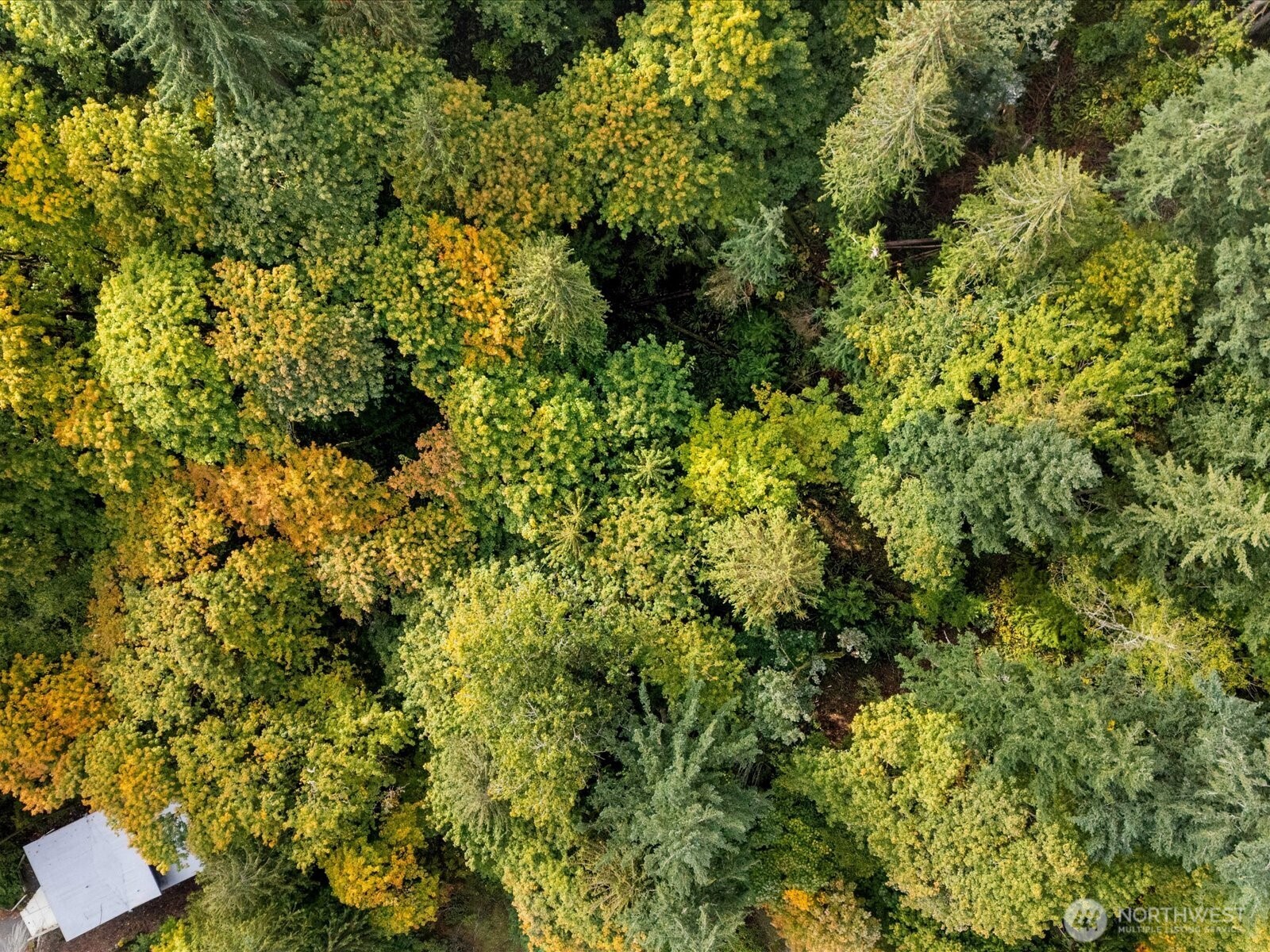 445 W Lake Sammamish Parkway SE