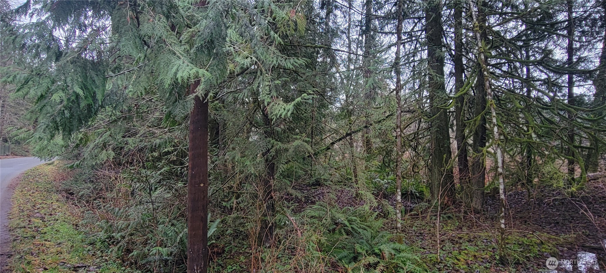 11228 312th Avenue NE