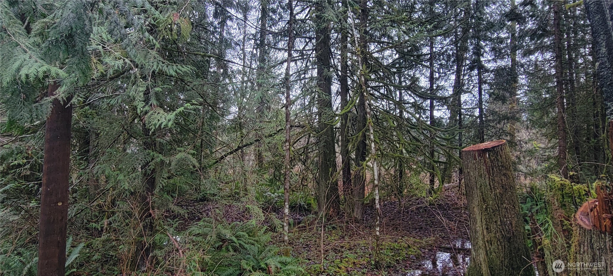 11228 312th Avenue NE