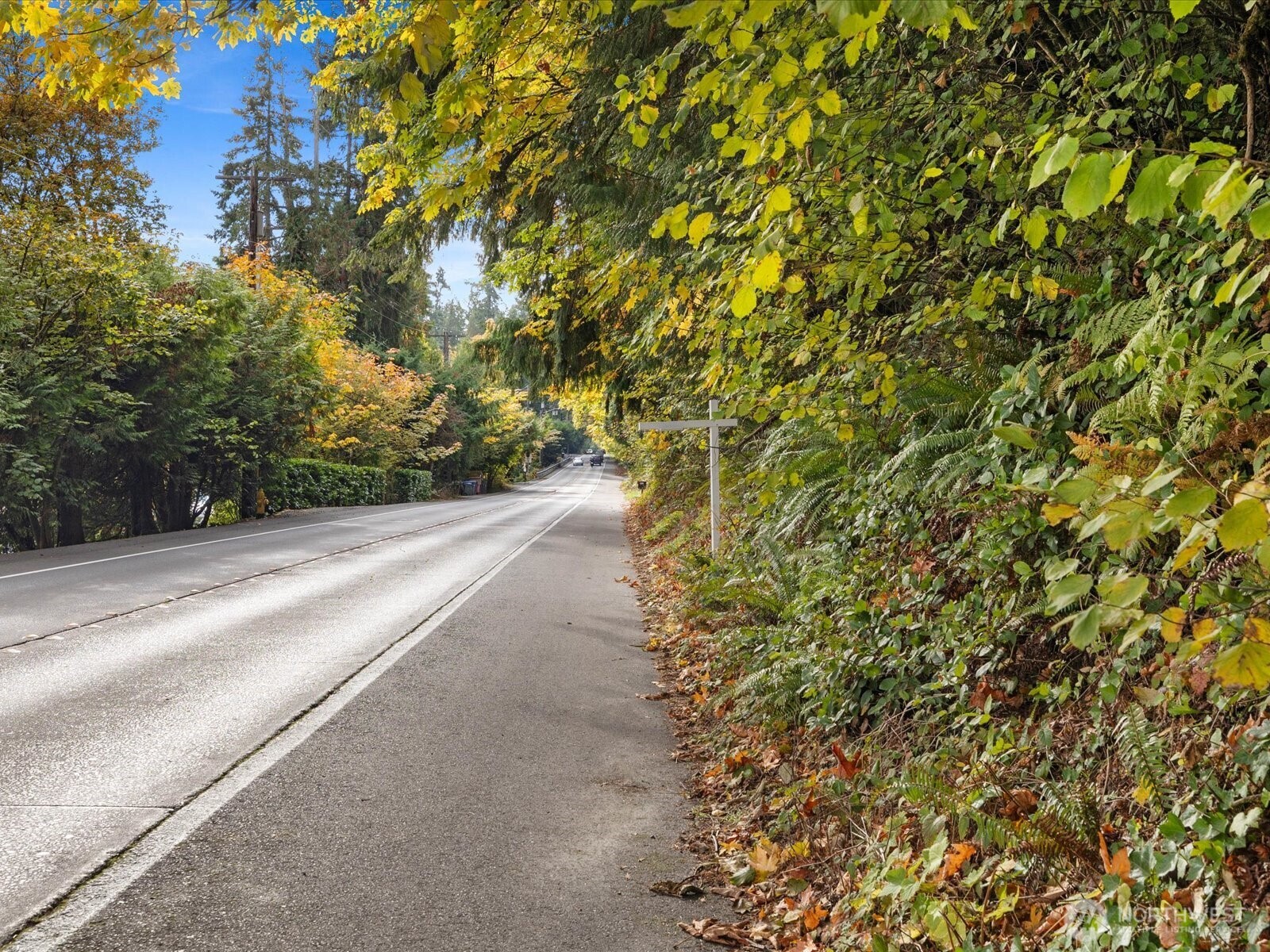 445 W Lake Sammamish Parkway SE