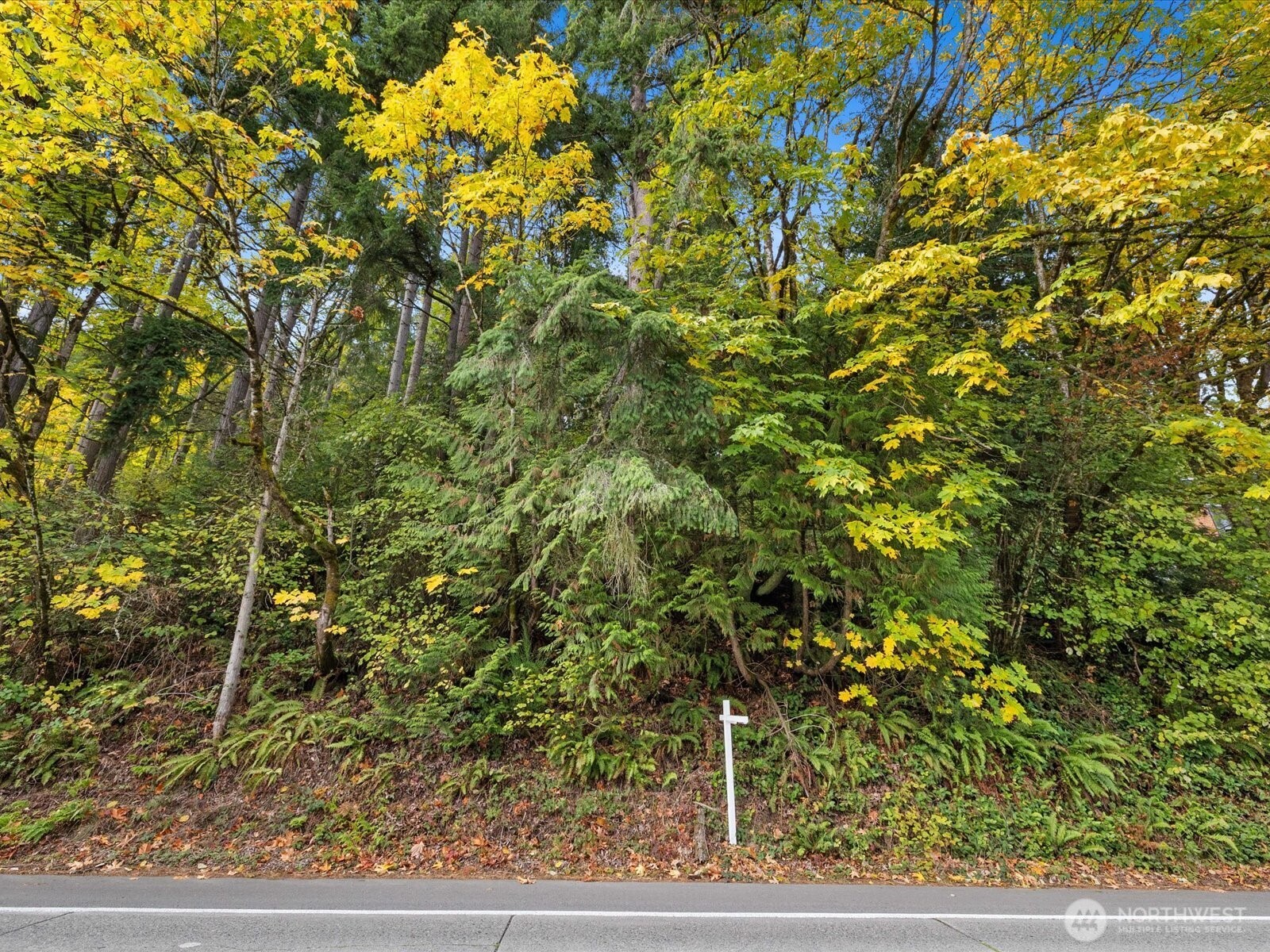 445 W Lake Sammamish Parkway SE