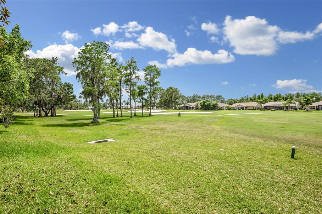 1421 CANBERLEY COURT