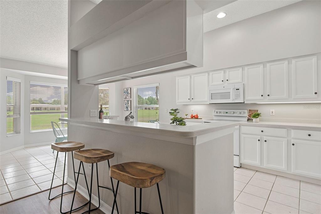 1421 CANBERLEY COURT