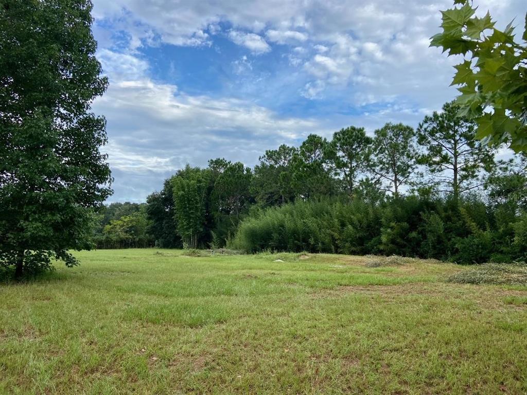 WESLEY CHAPEL
