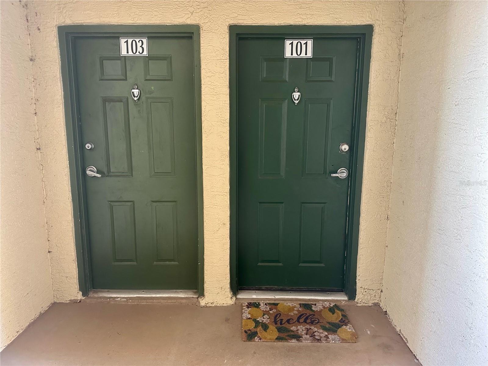 5020 SUNRIDGE PALMS DRIVE Unit: 101