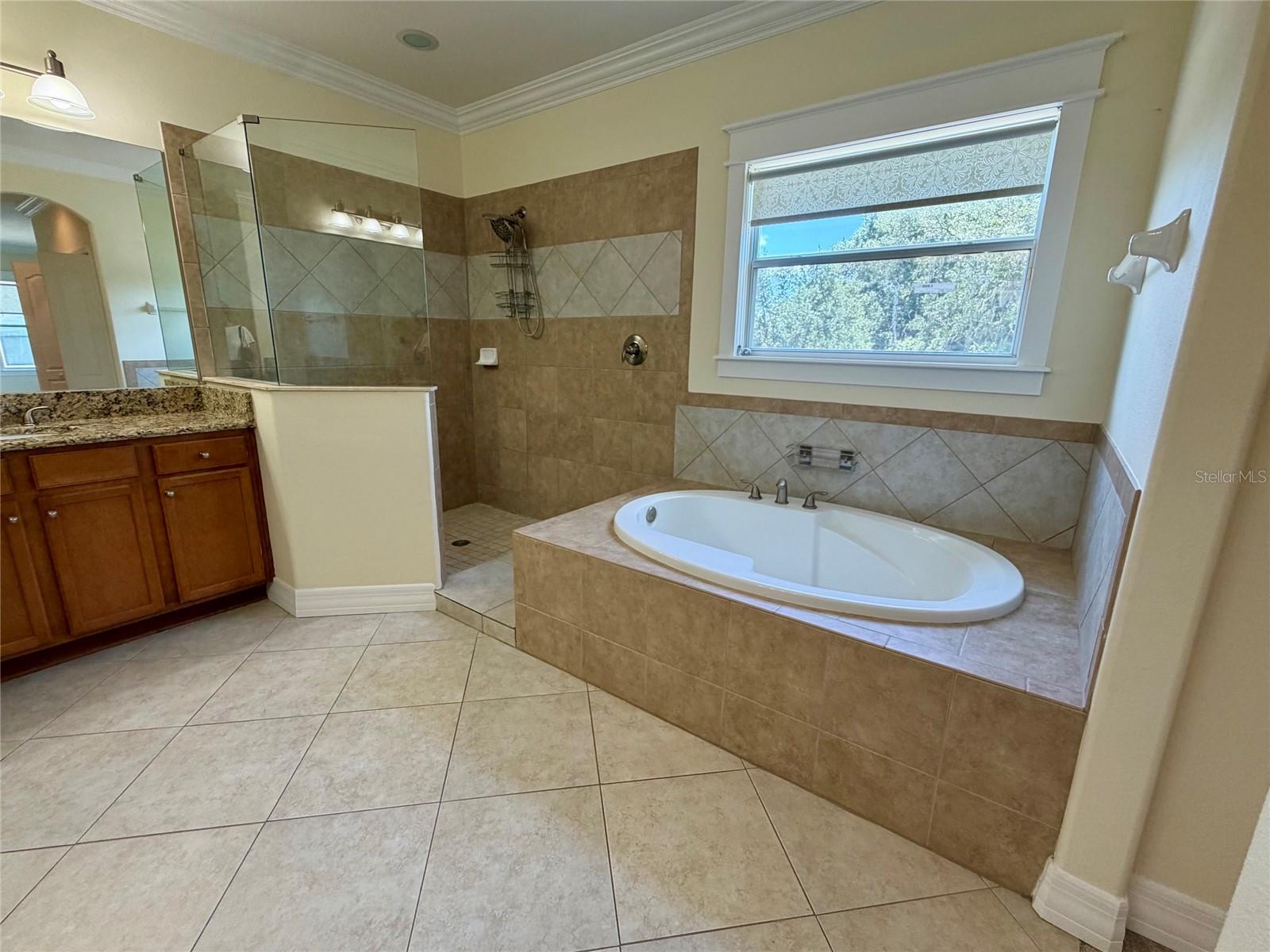 10531 MISTFLOWER LN