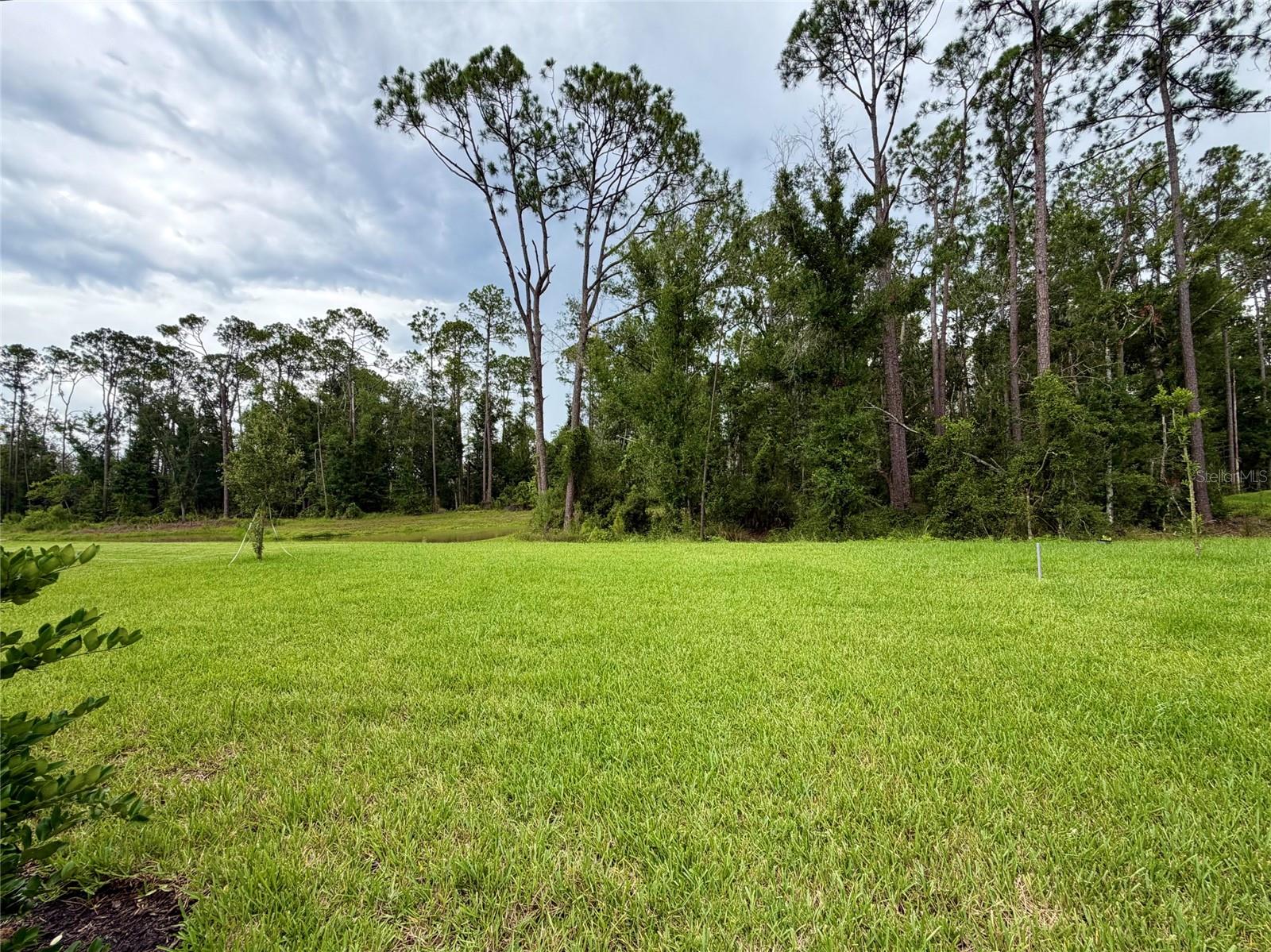 33901 LANDSMAN LOOP