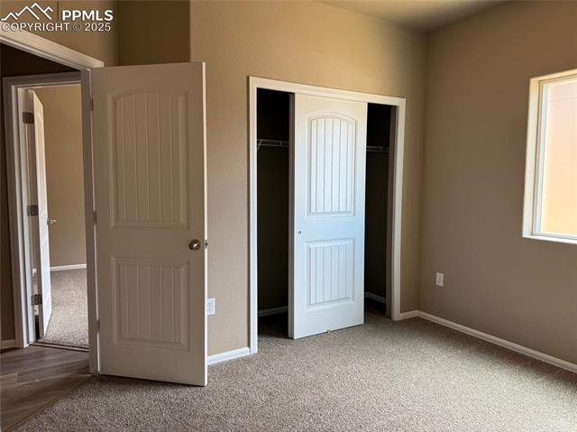 5216 Gannet Lane
