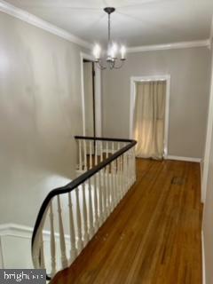255 CHURCH STREET