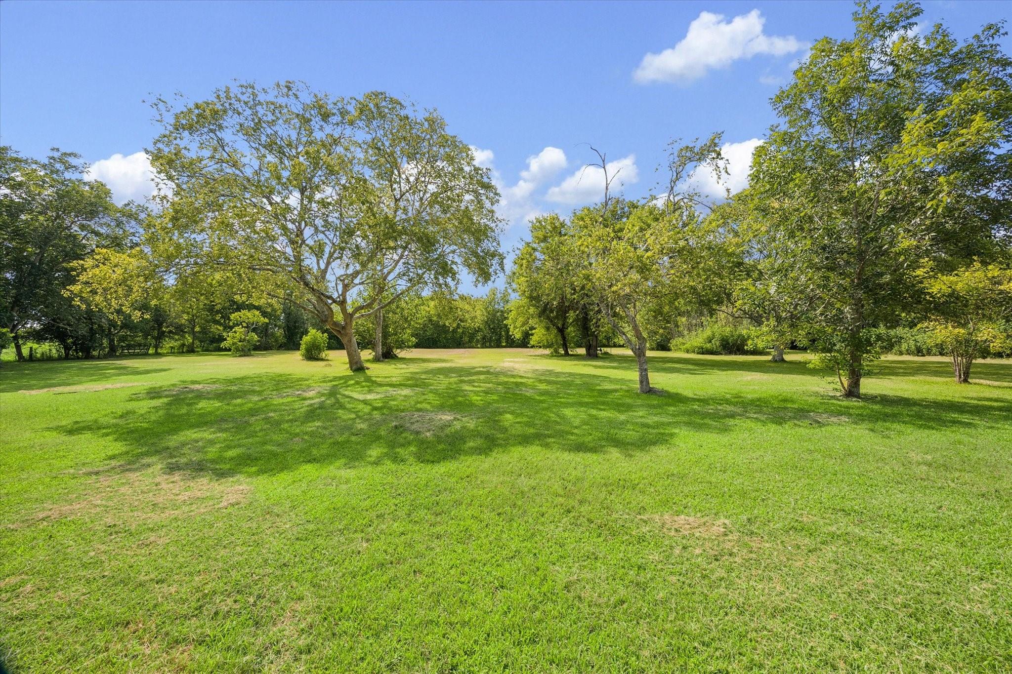 Broad grassy yard with mature trees and shrubs.