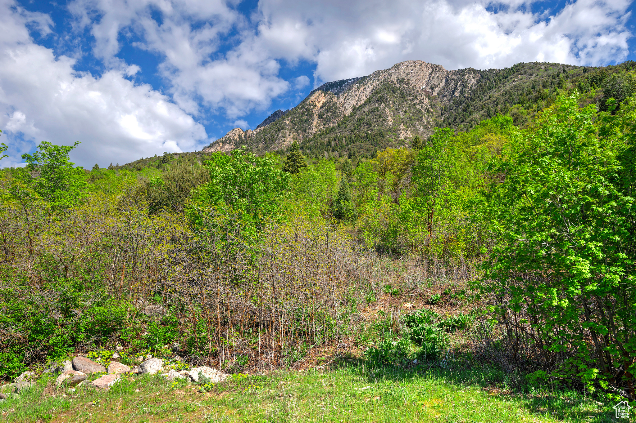 4695 S THOUSAND OAKS DR