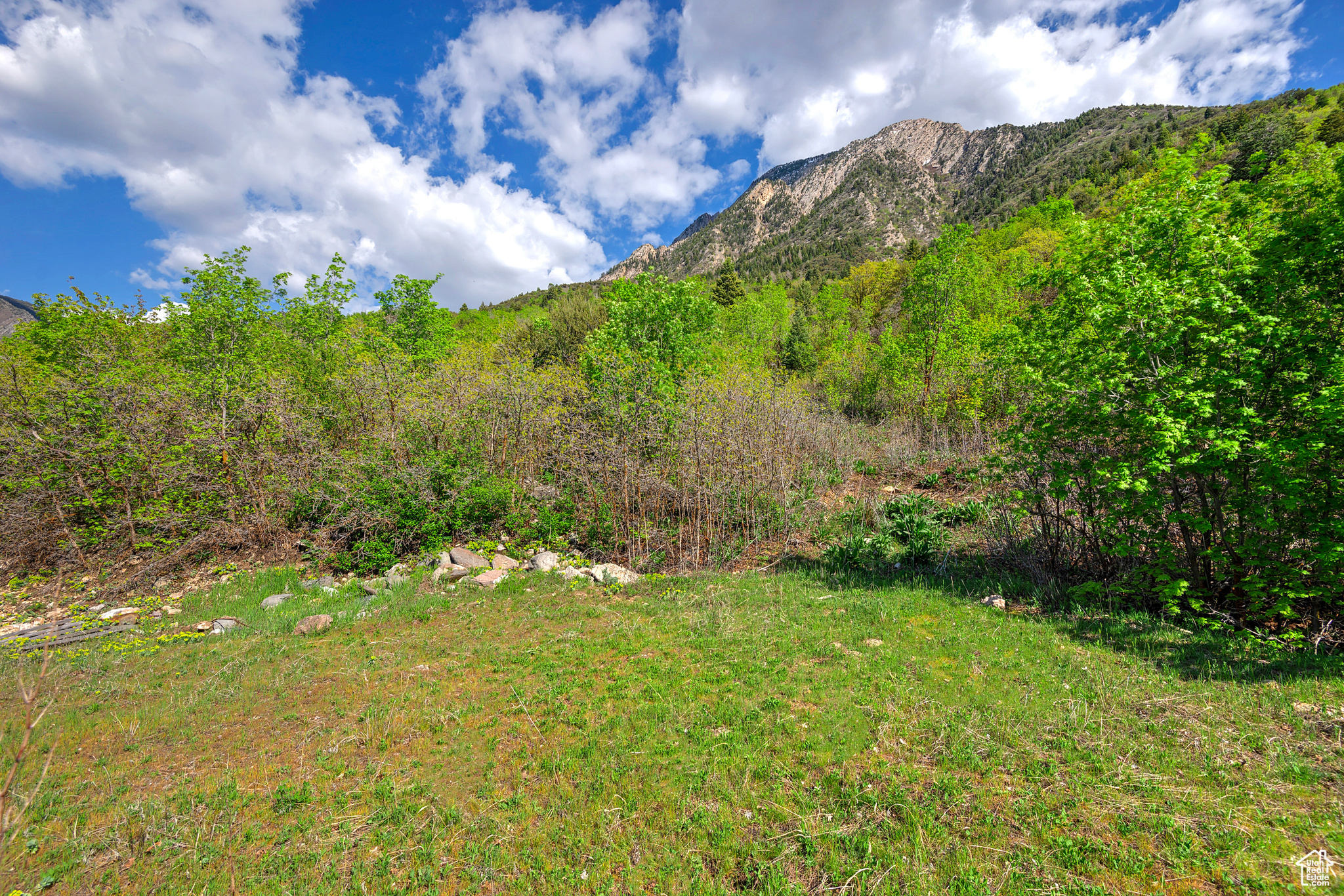 4695 S THOUSAND OAKS DR