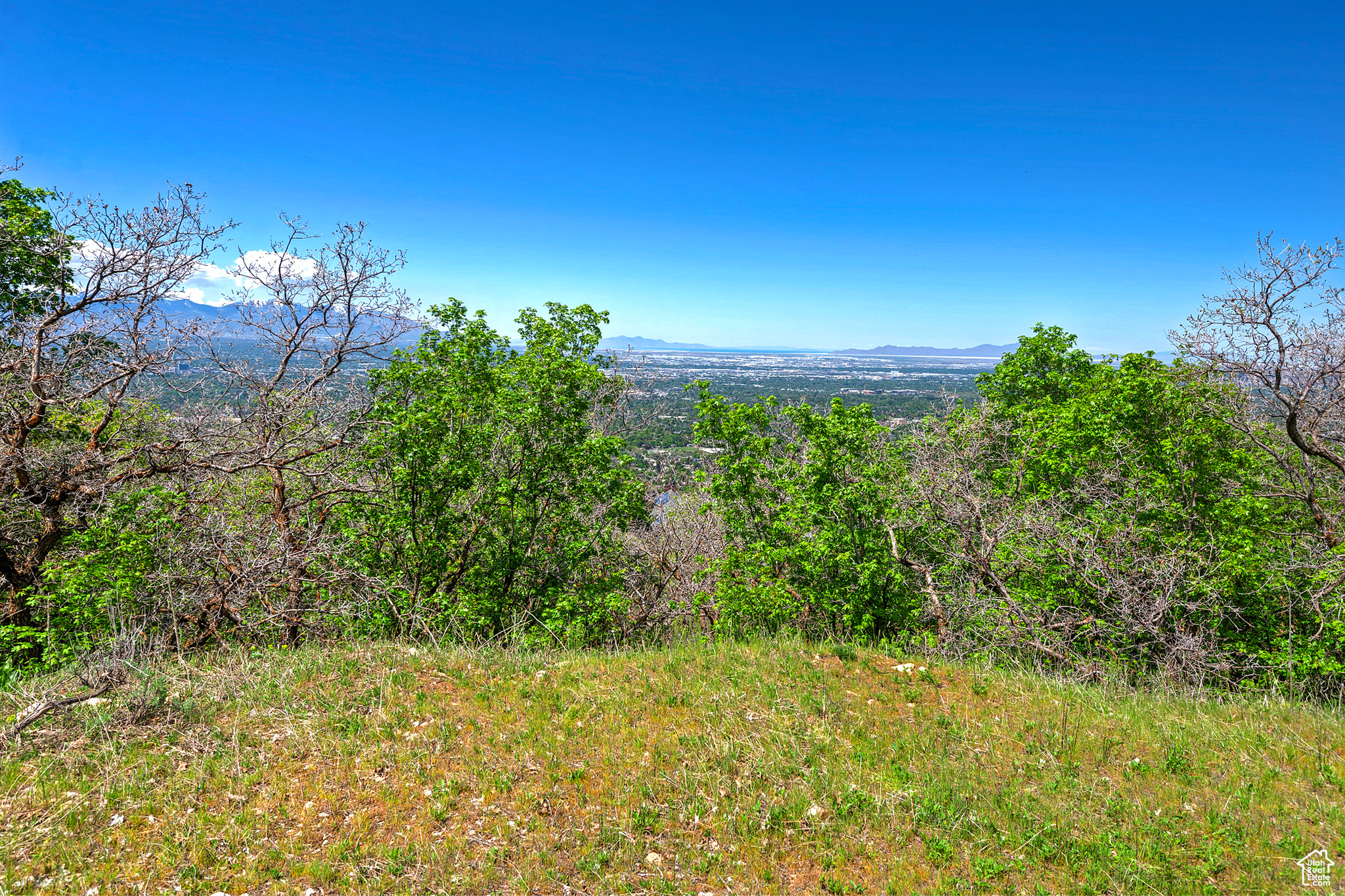 4695 S THOUSAND OAKS DR