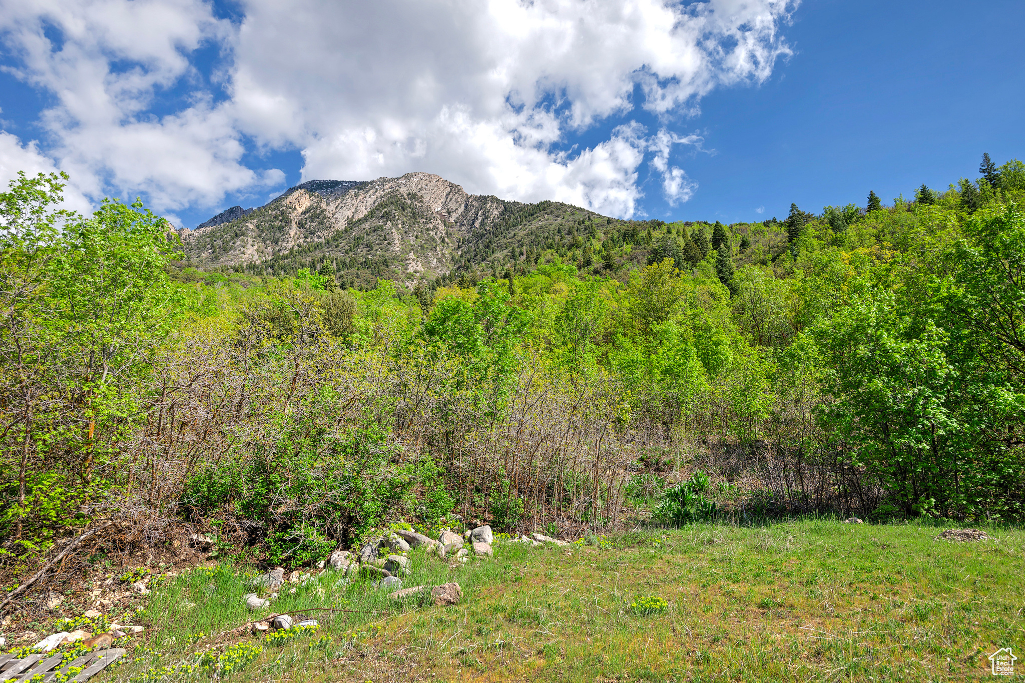 4695 S THOUSAND OAKS DR