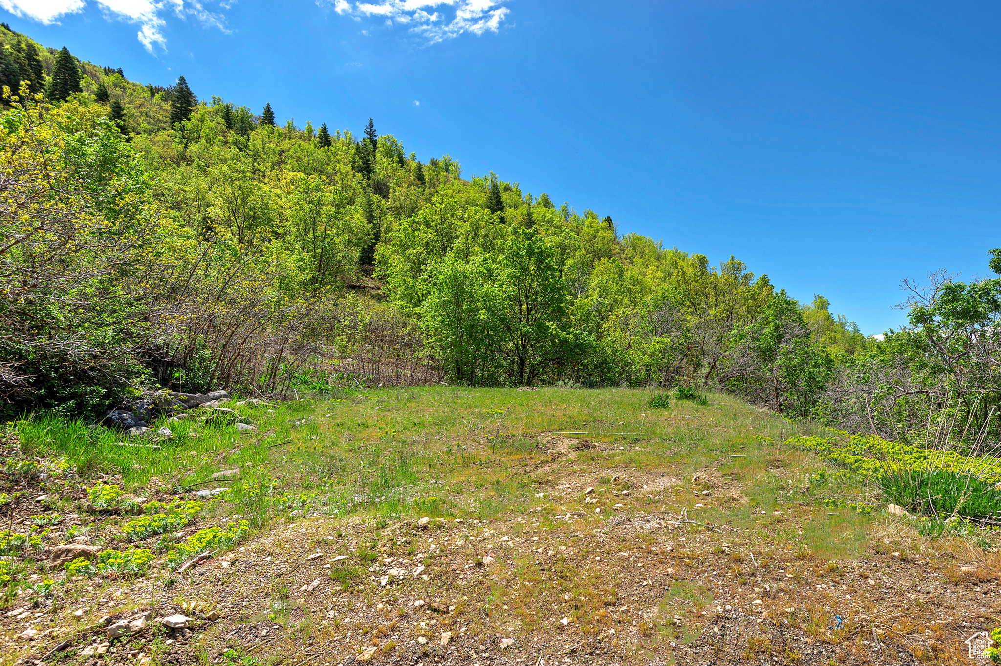 4695 S THOUSAND OAKS DR