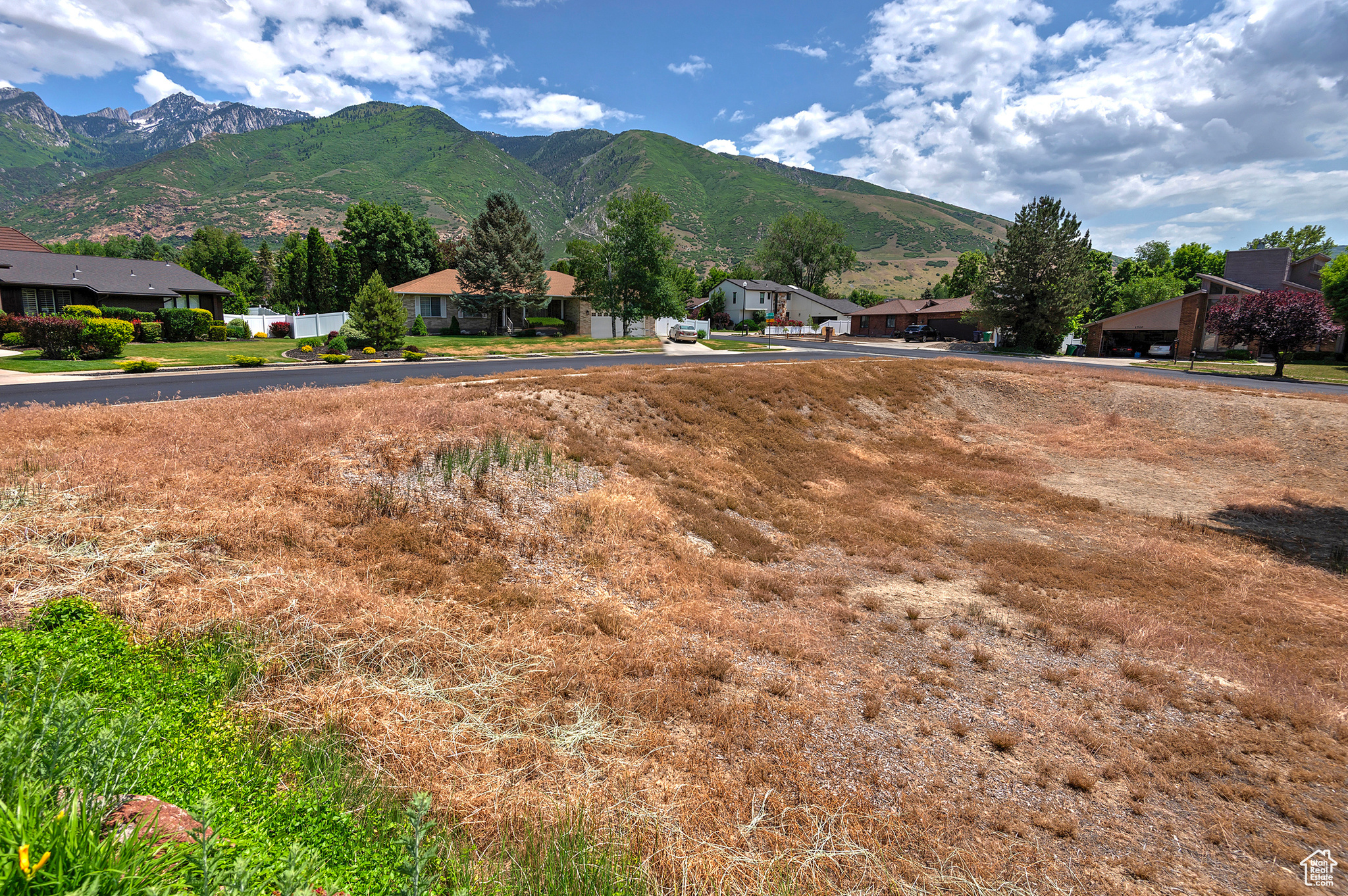 12164 S MOUNTAIN SHADOW RD