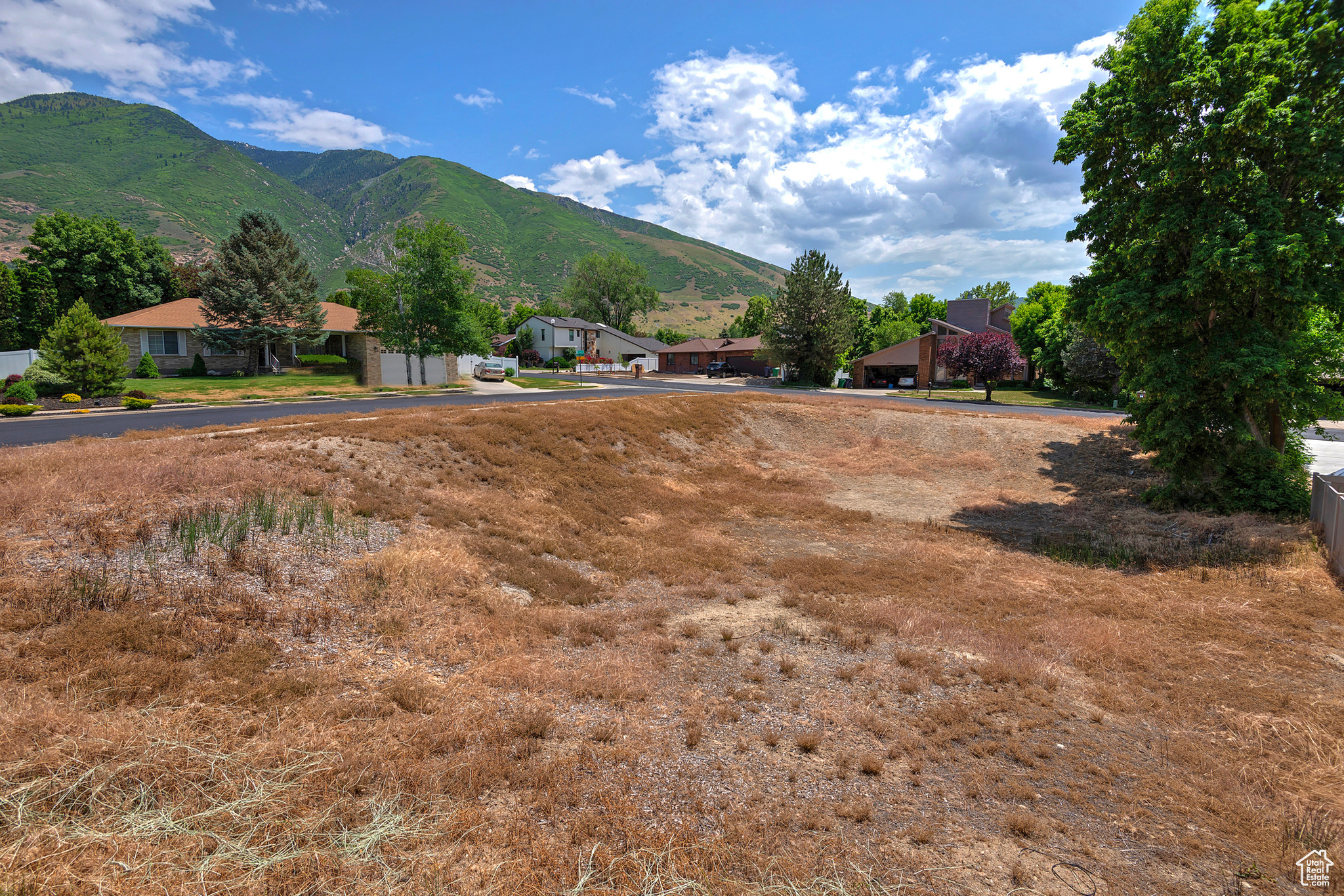 12164 S MOUNTAIN SHADOW RD