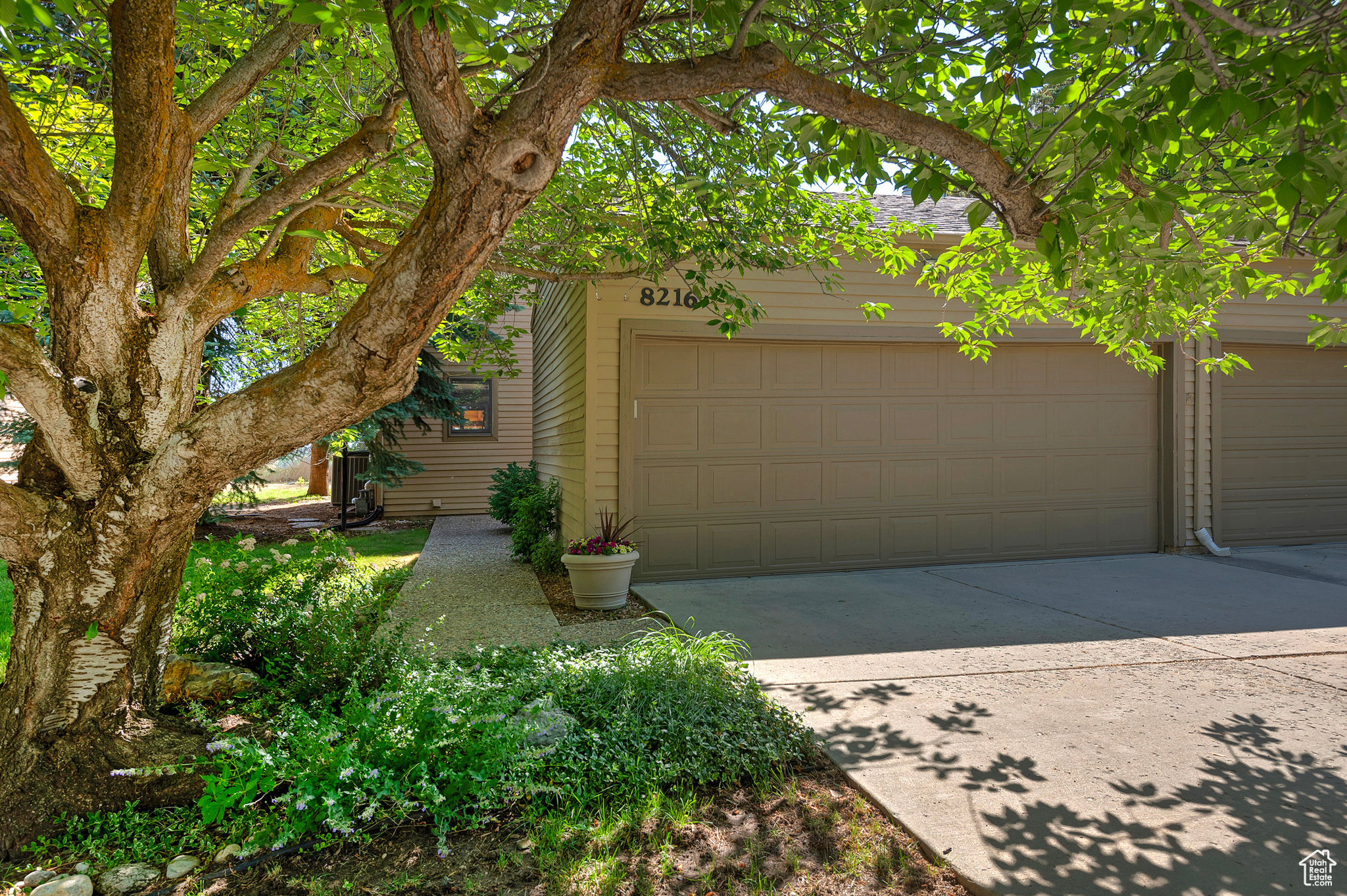 8216 S SCANDIA WAY